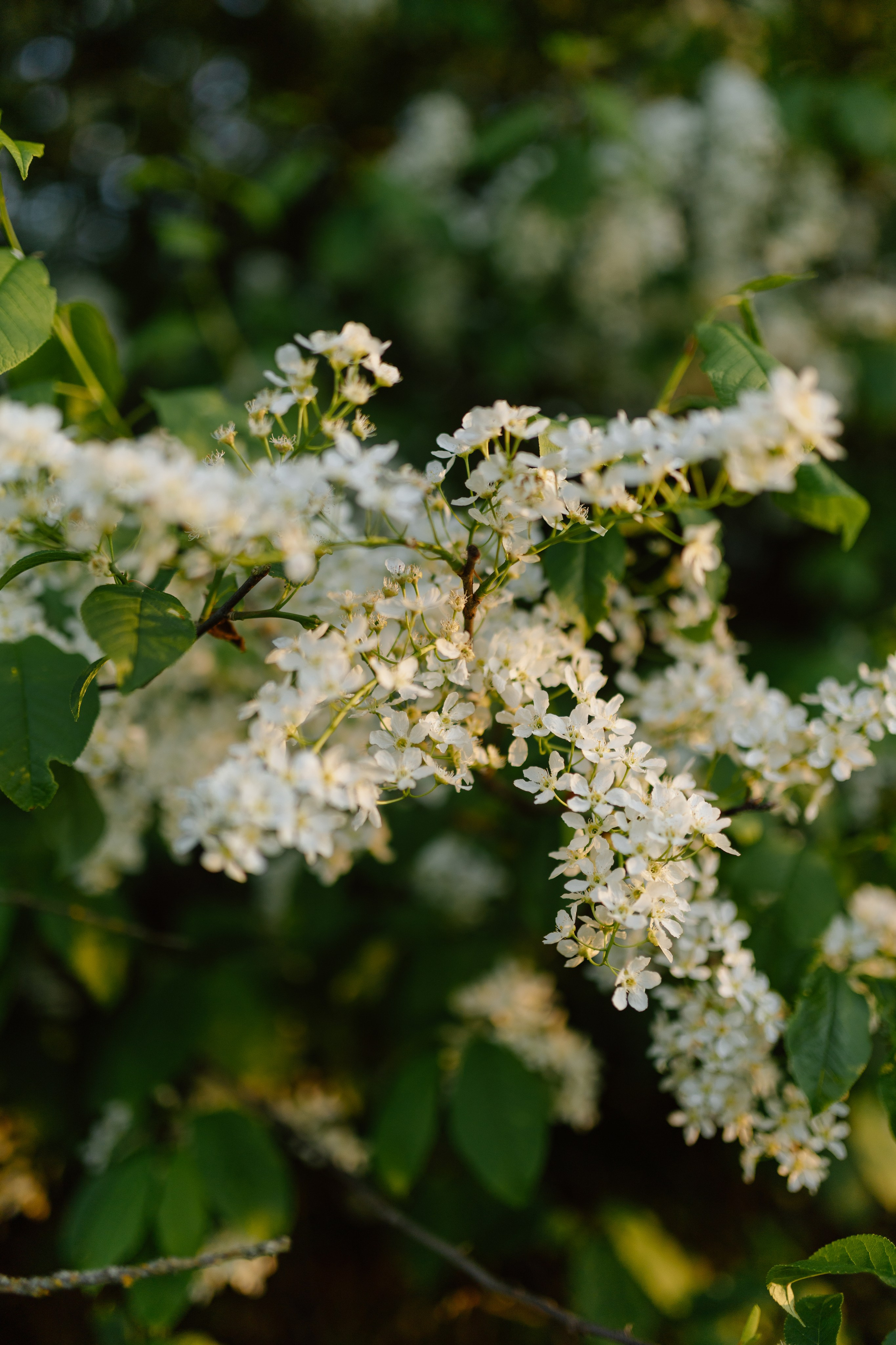 Cristina & Elena — Family. Main