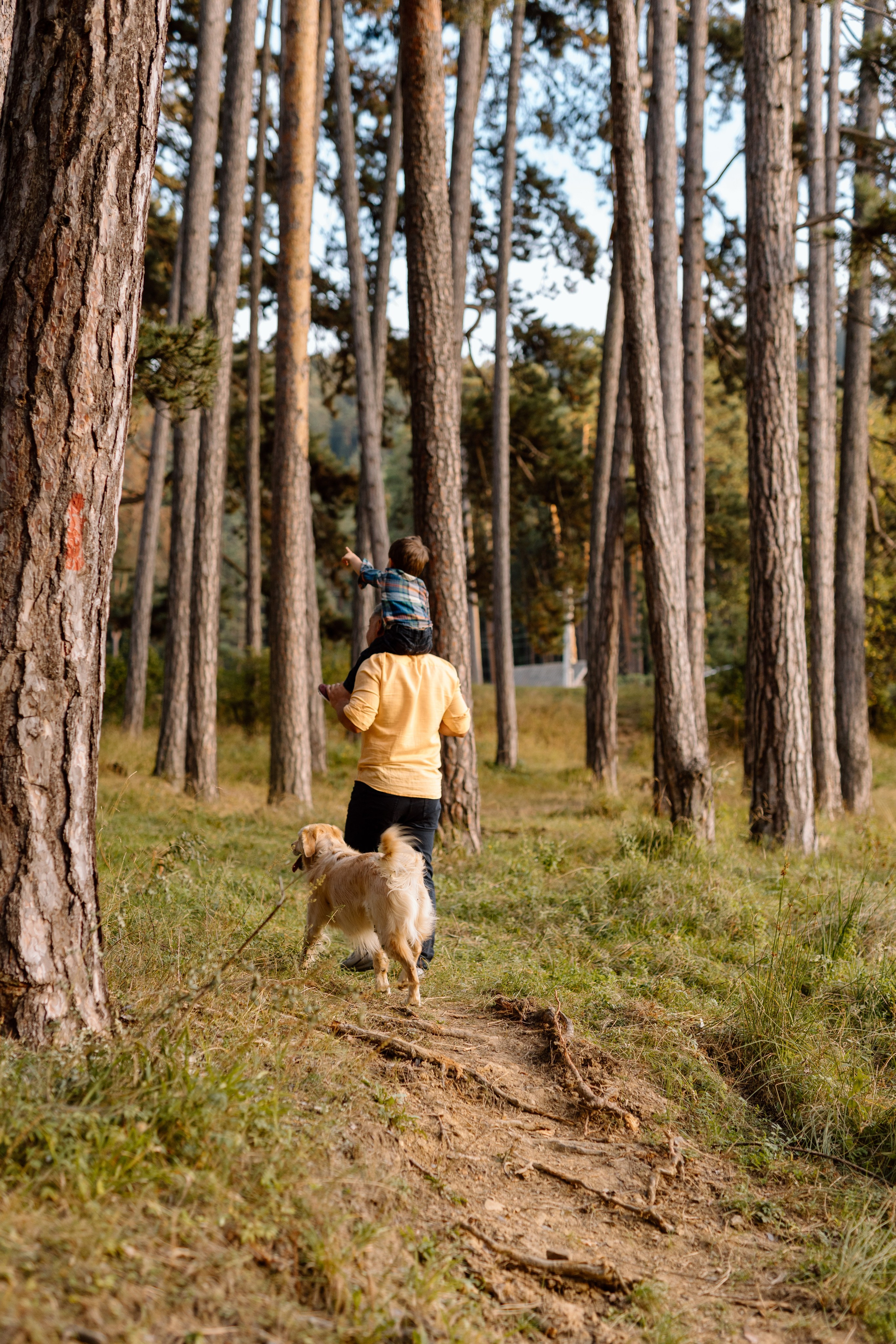 Sanziana, Daniel & Alexandru — Family. Main