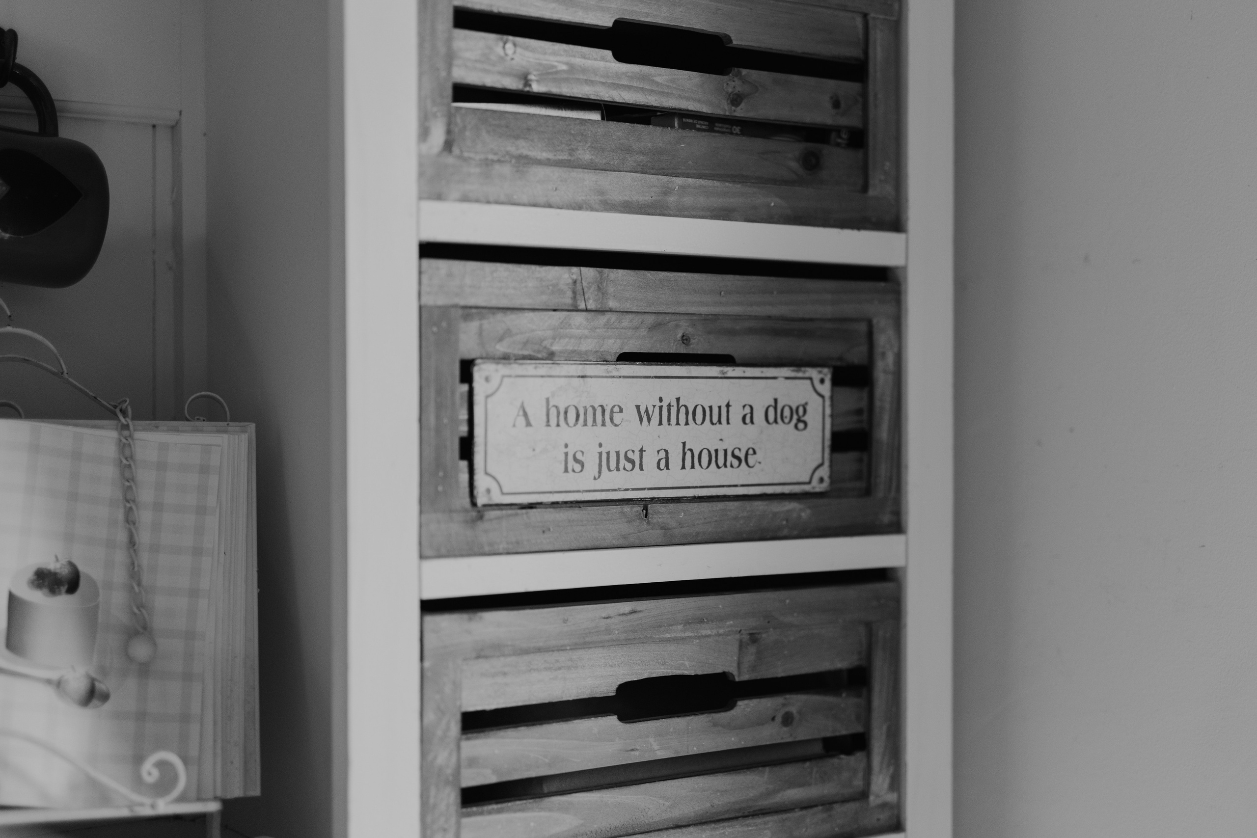 Natalia & Costin. Main