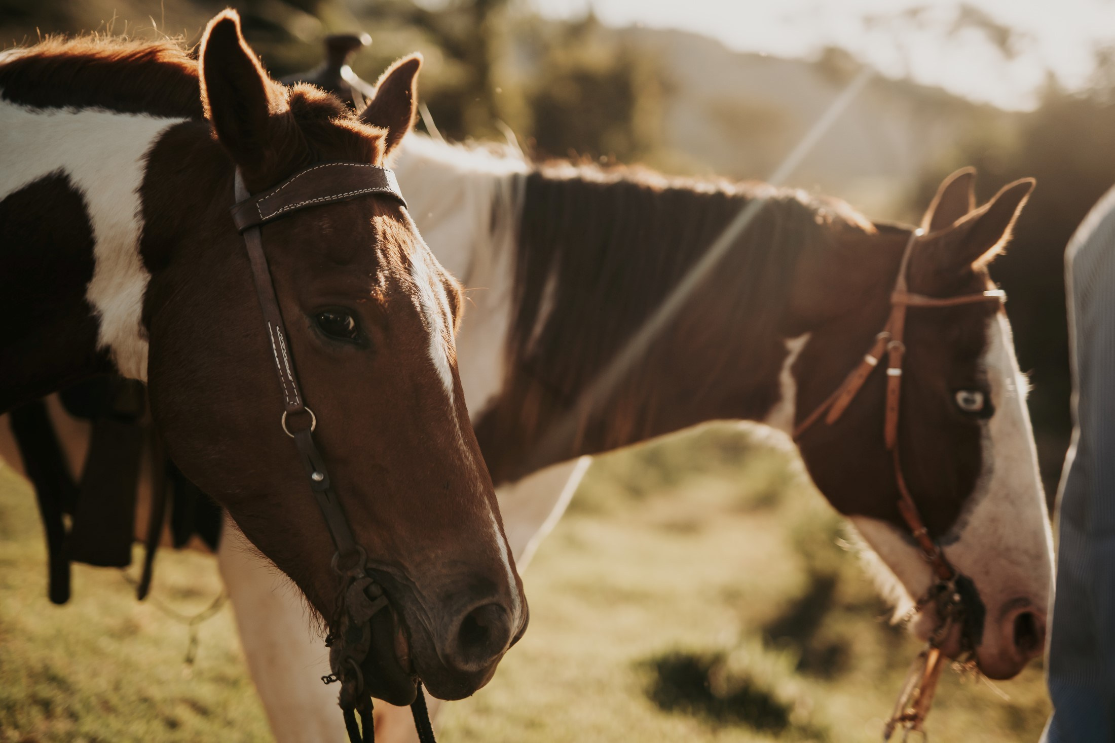 Pré Wedding — Amanda e Guilherme (Brotas — SP). Fotógrafo de casamento e Filmmaker de casamento