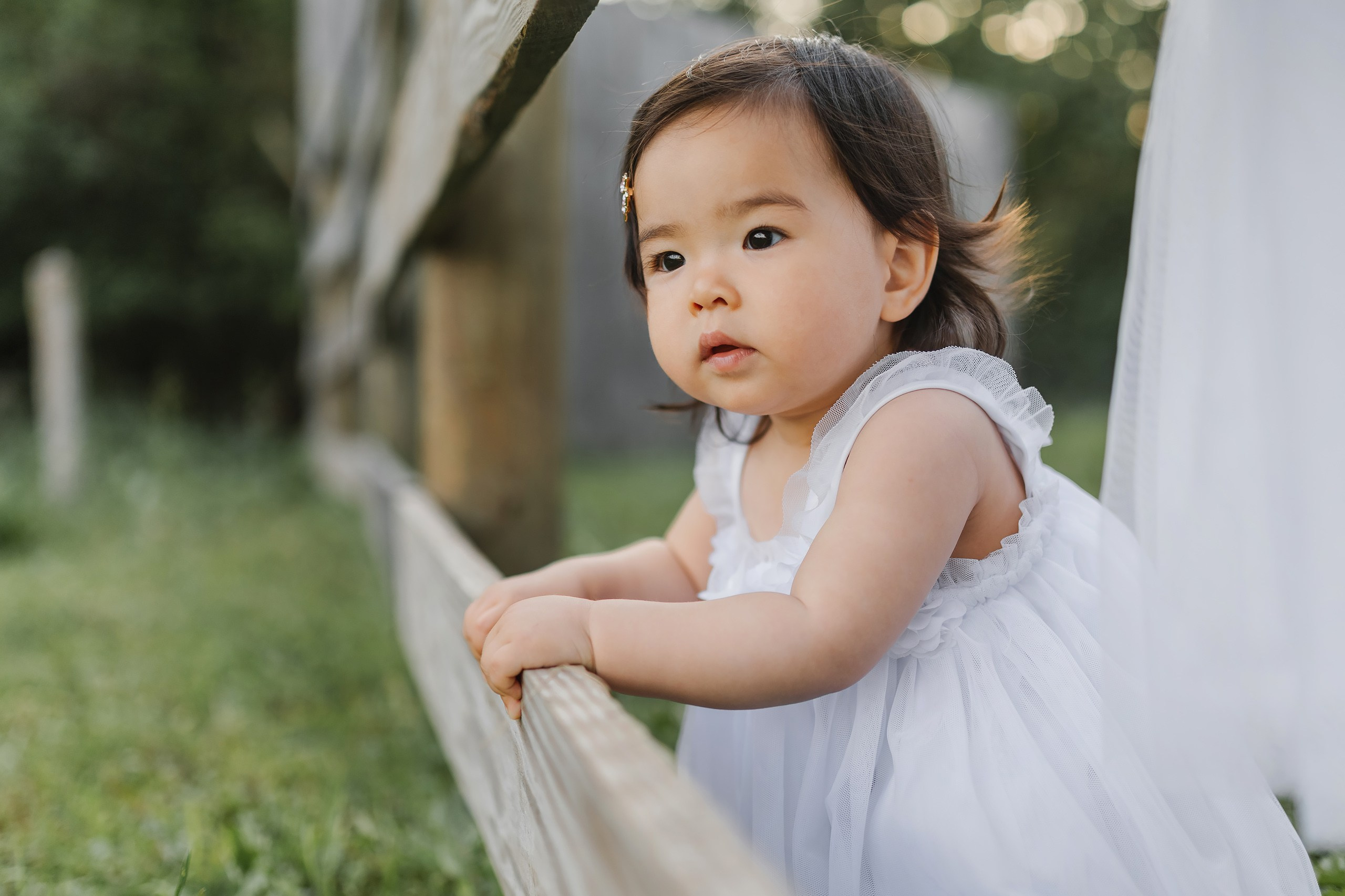 05.25.26 Family Photoshoot. Wedding family event photographer in Chicago Nick Yushevich