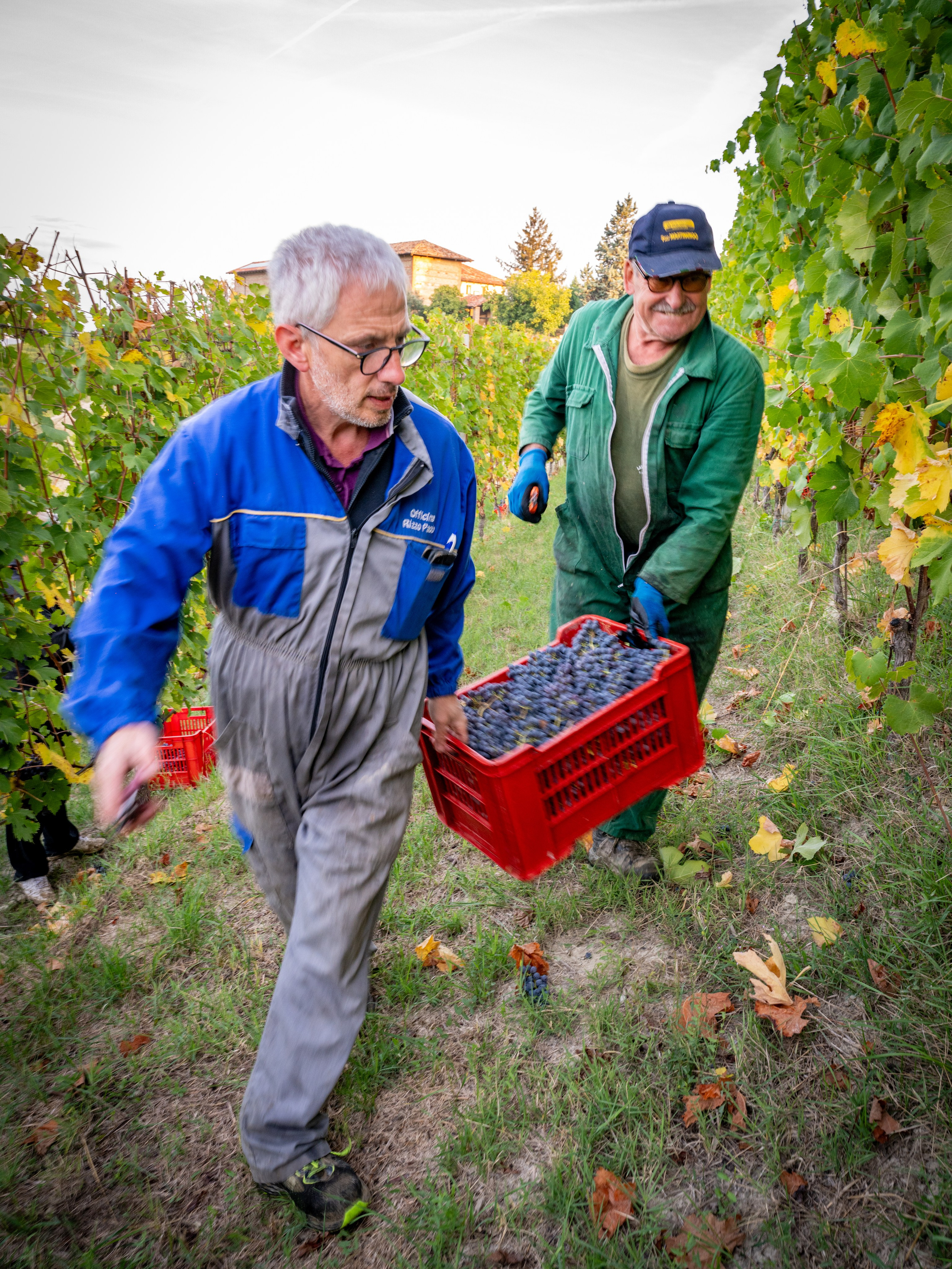 Cantine Boasso Serralunga. “Gianmaria Coscia fotografo per passione”