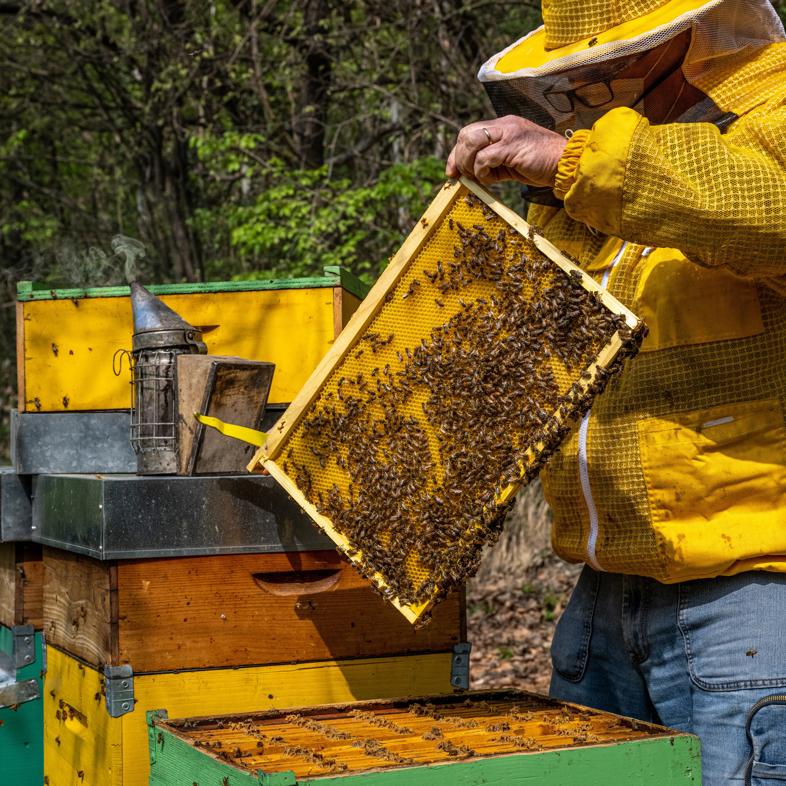 Apicultura Bergadano. “Gianmaria Coscia fotografo per passione”