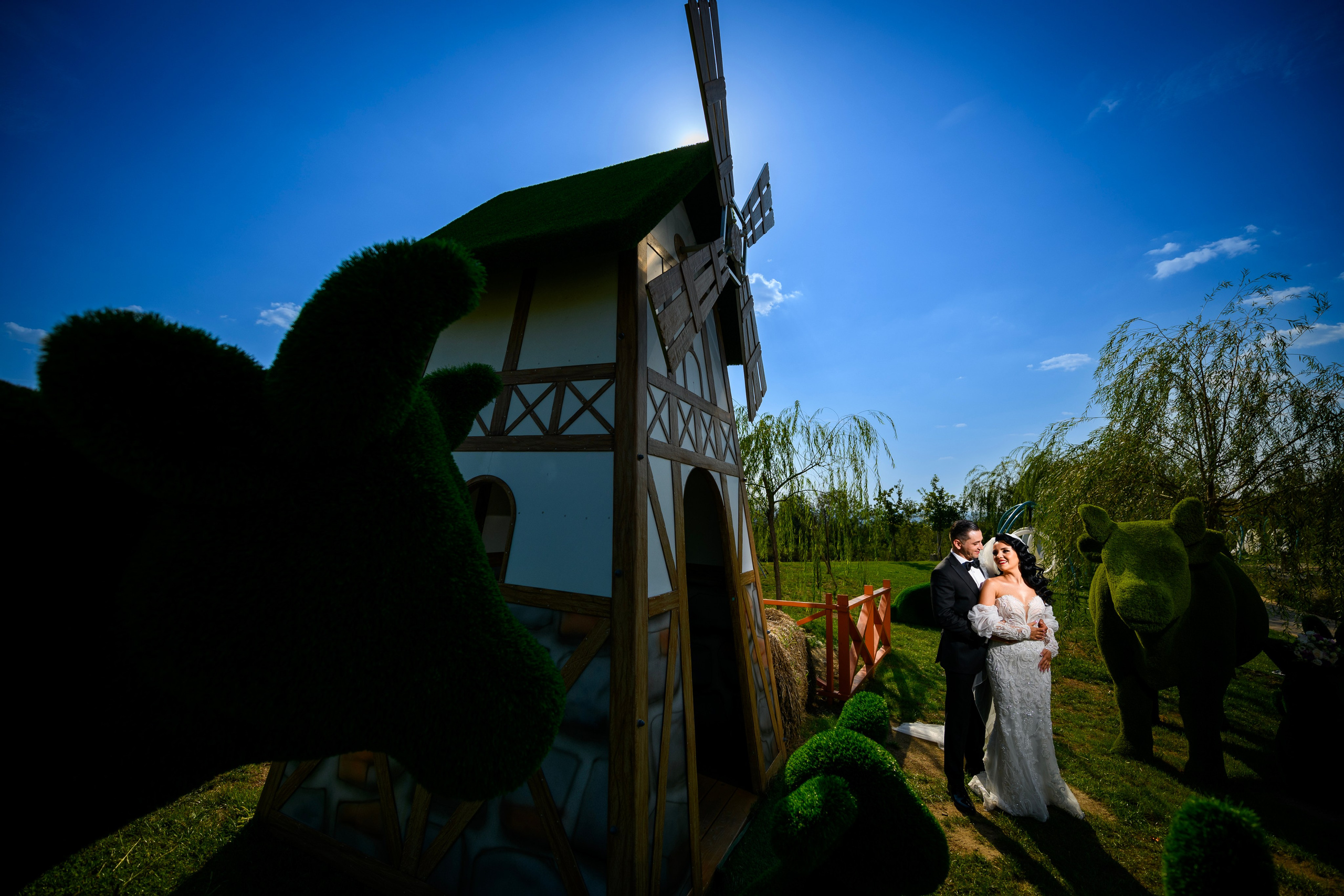 Wedding. Alin Doana Visual Art