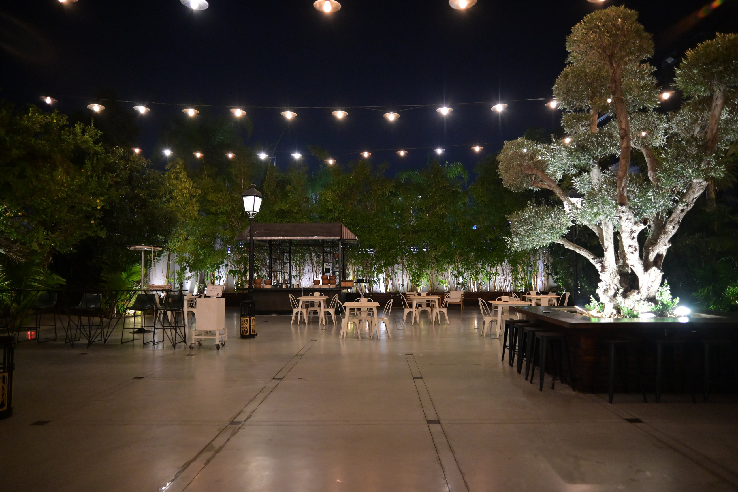 תרין TARIN עיצוב. Wedding and events photographers Studio Shalom