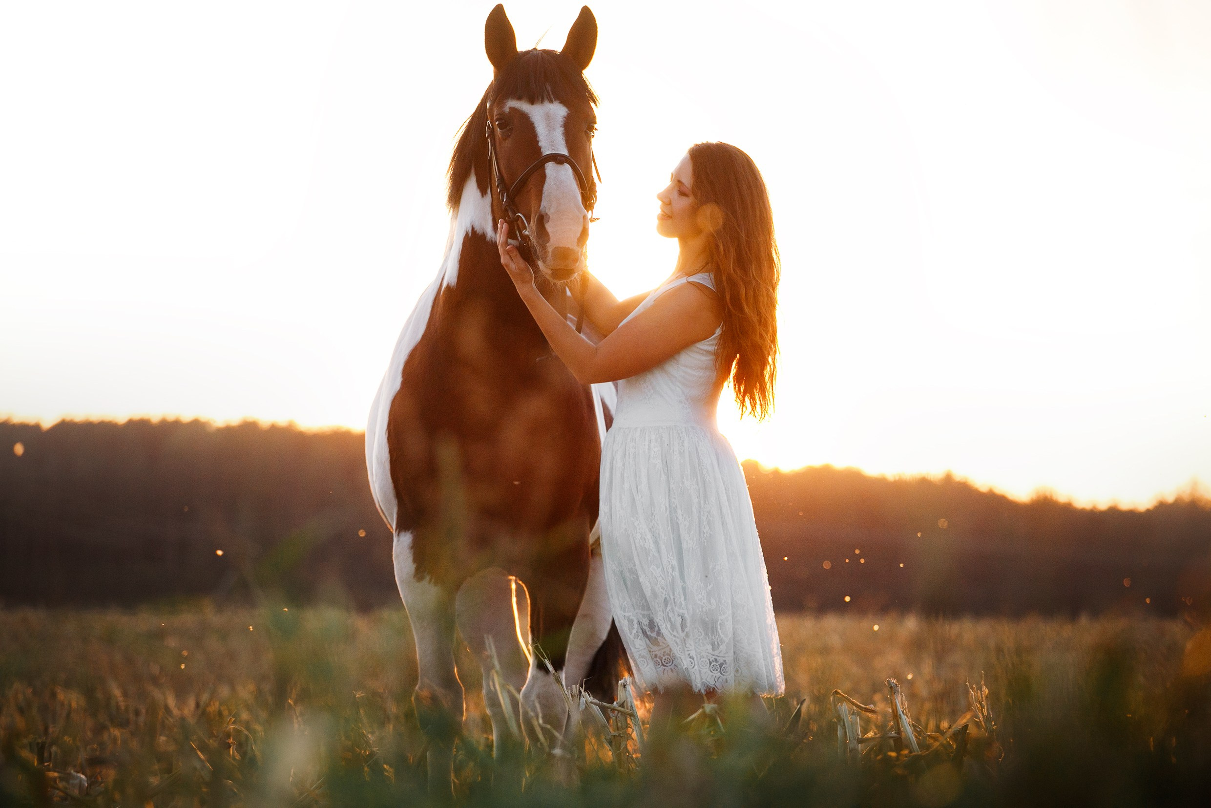 Pegas & Maximus | portrait shooting. Kaja | fotograf we Wrocławiu | ludzie i psy