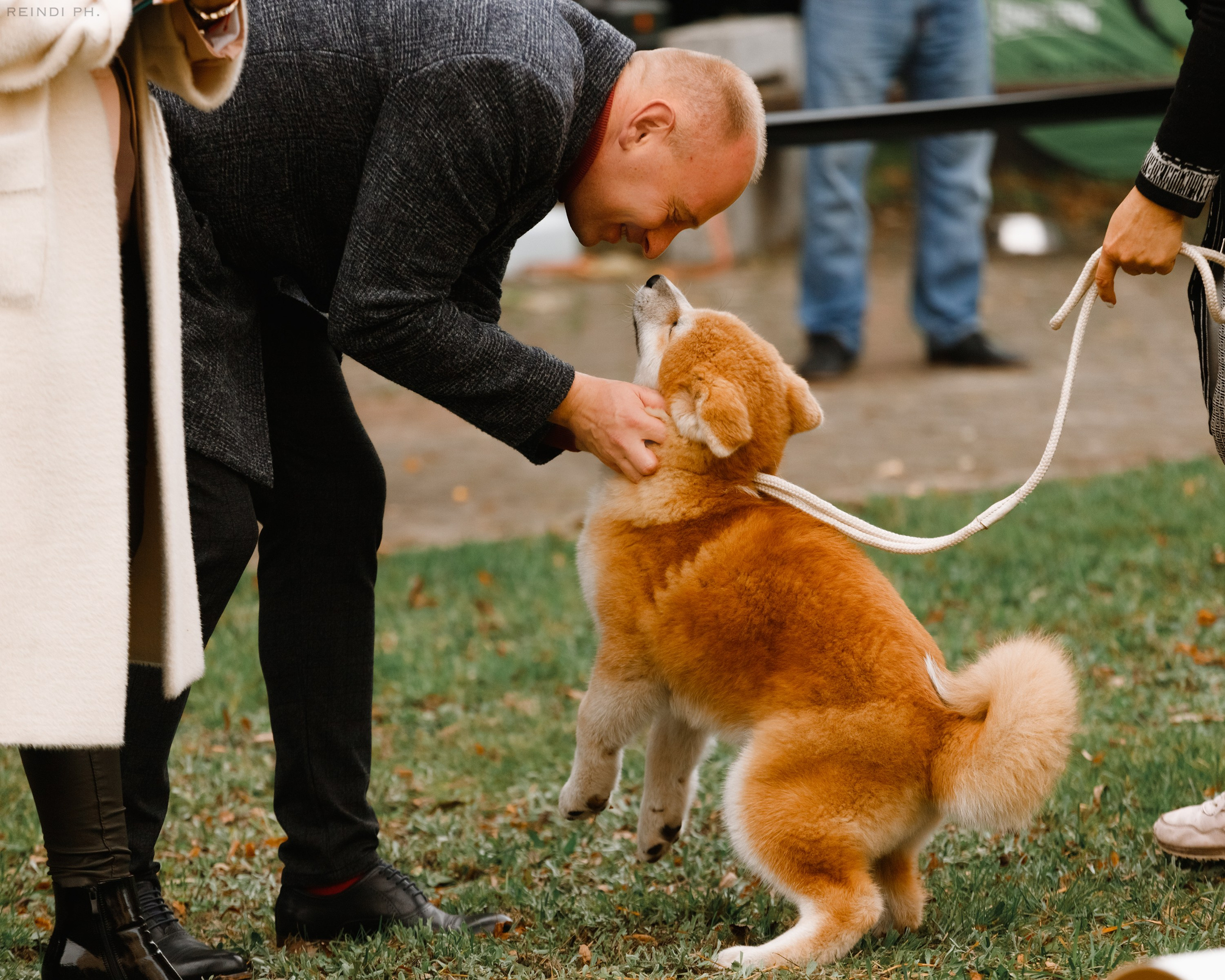 «Argus» dog show in Brest. Kaja | fotograf we Wrocławiu | ludzie i psy