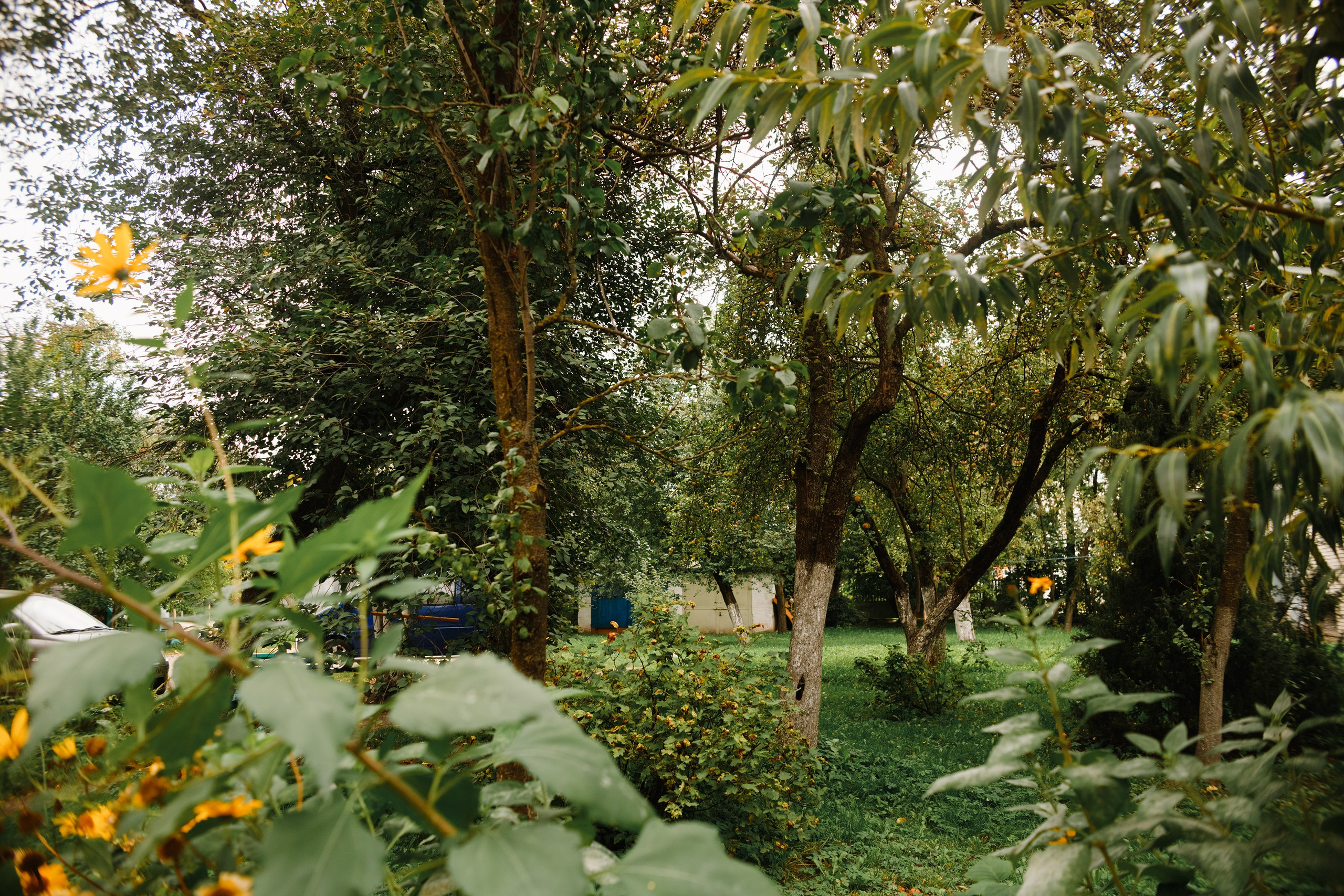 Grodno. Kaja | fotograf we Wrocławiu | ludzie i psy