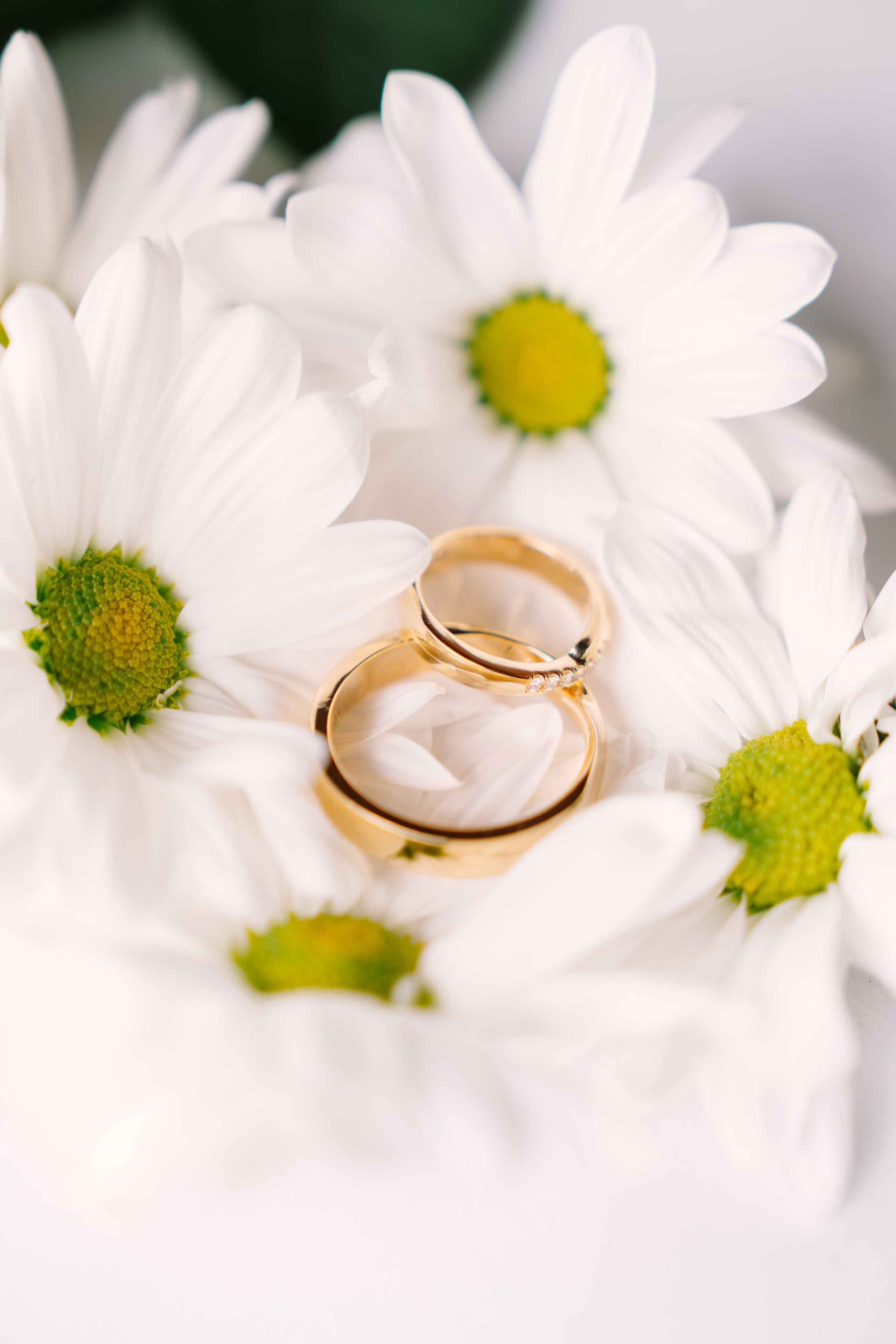 Natalia & Brian Wedding in Ibagué, Colombia