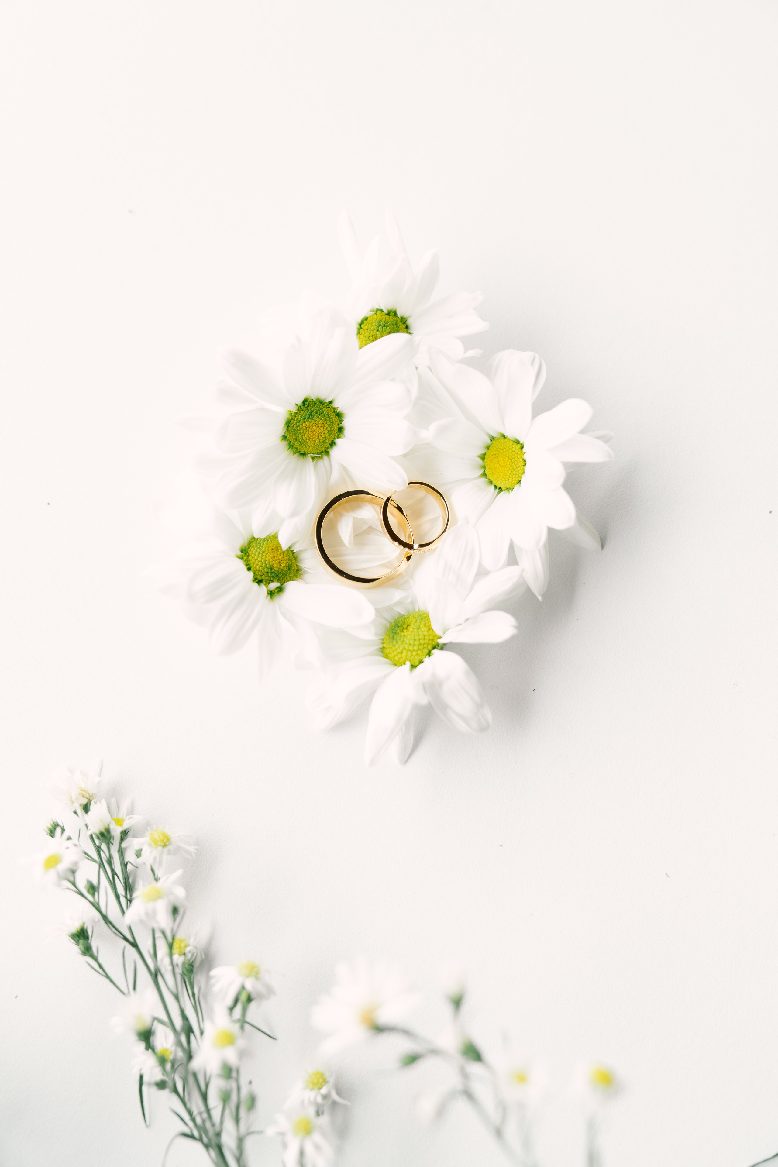 Natalia & Brian Wedding in Ibagué, Colombia