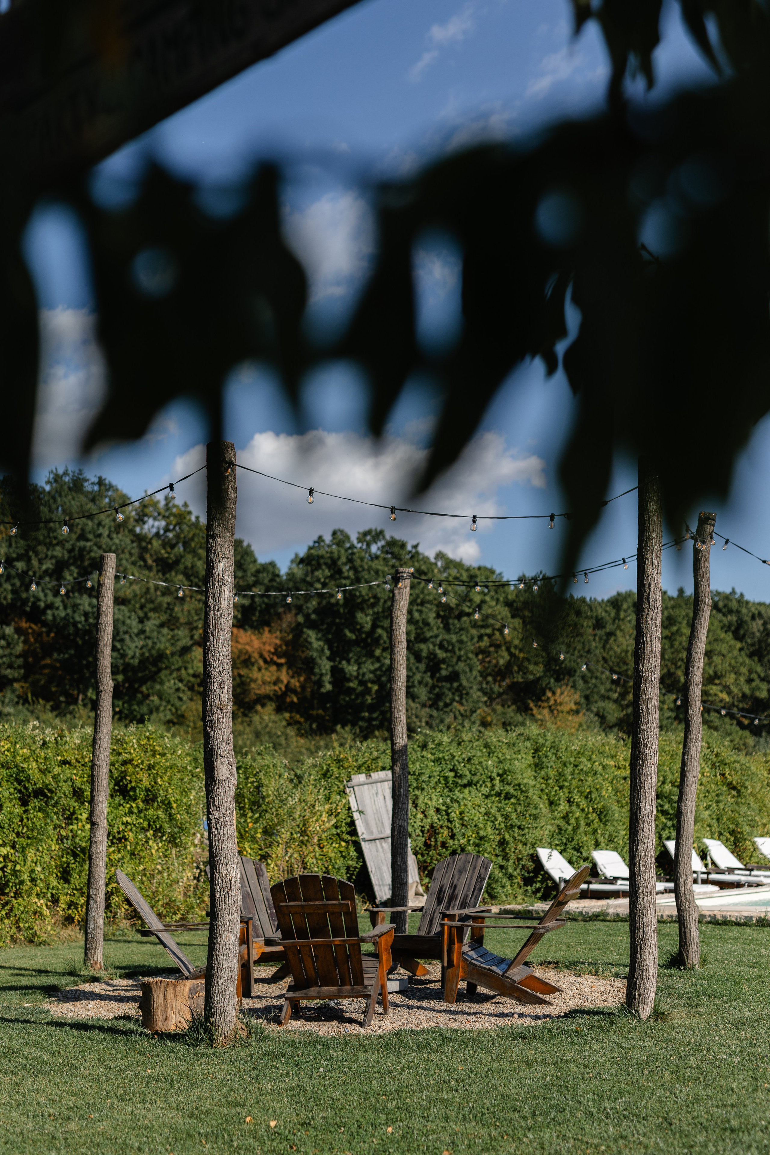 Natalia & Costin. Main