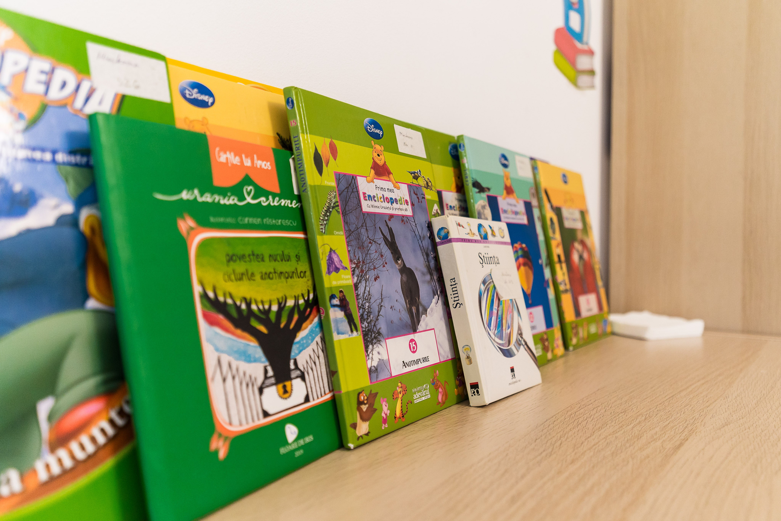 Miniterra Carusel. Liviu Andrei - Fotograf