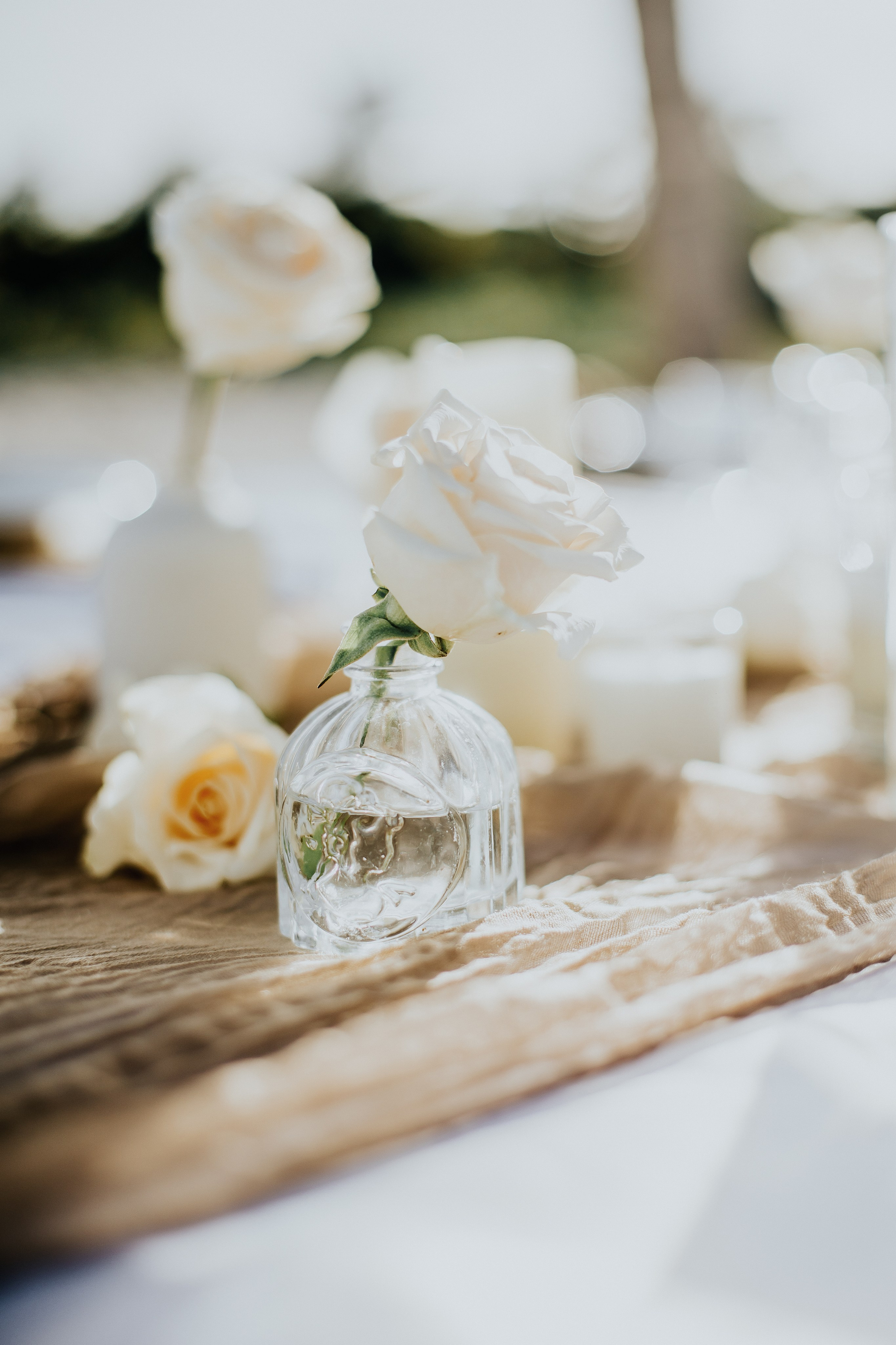 Heather & Jose wedding. Alya Leto Photographer