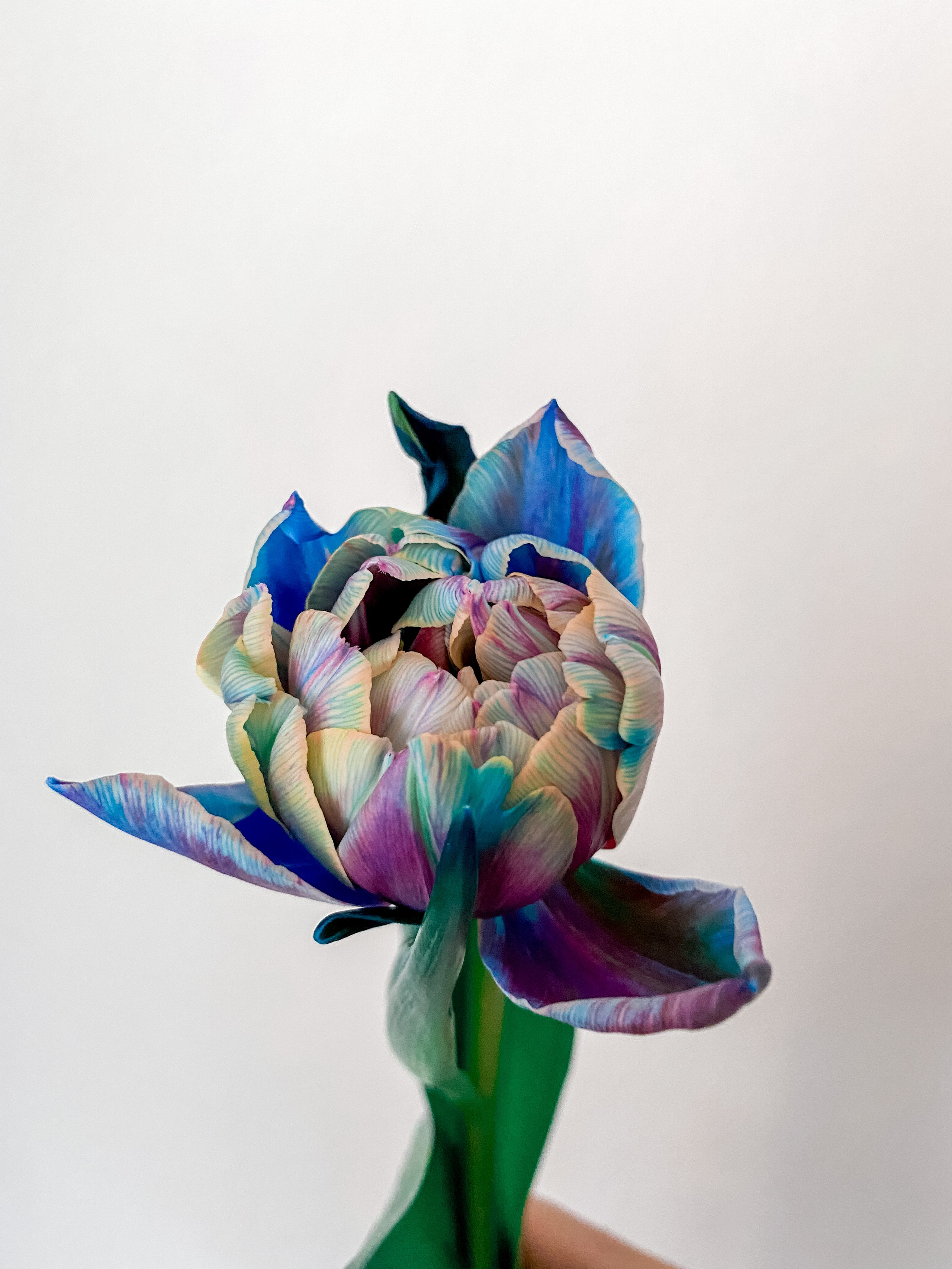 Saint Monica beauty studio in Prague. ANNA-MARIA PHOTO CONTENT CREATOR — фотограф, эстет, художник и визуальный эксперт в Instagram, работающий в Праге