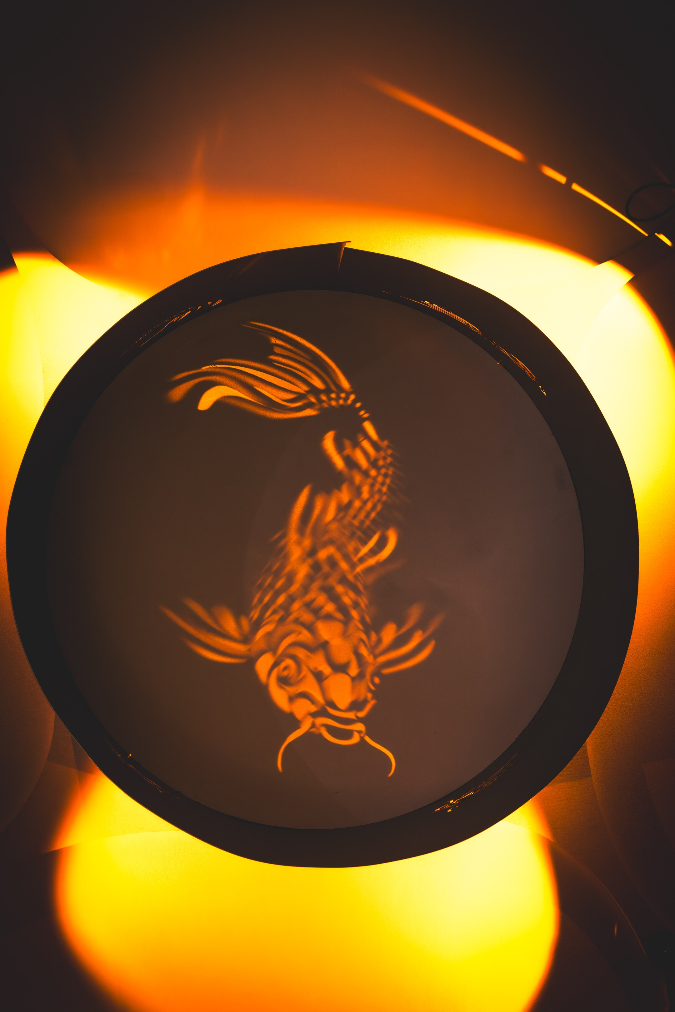 Puhkus Peterburis (Ermitaaž, Shadow muuseum, Grand Maket Venemaa, ArtMuza). Nebula 25 — Fotod teie hingele