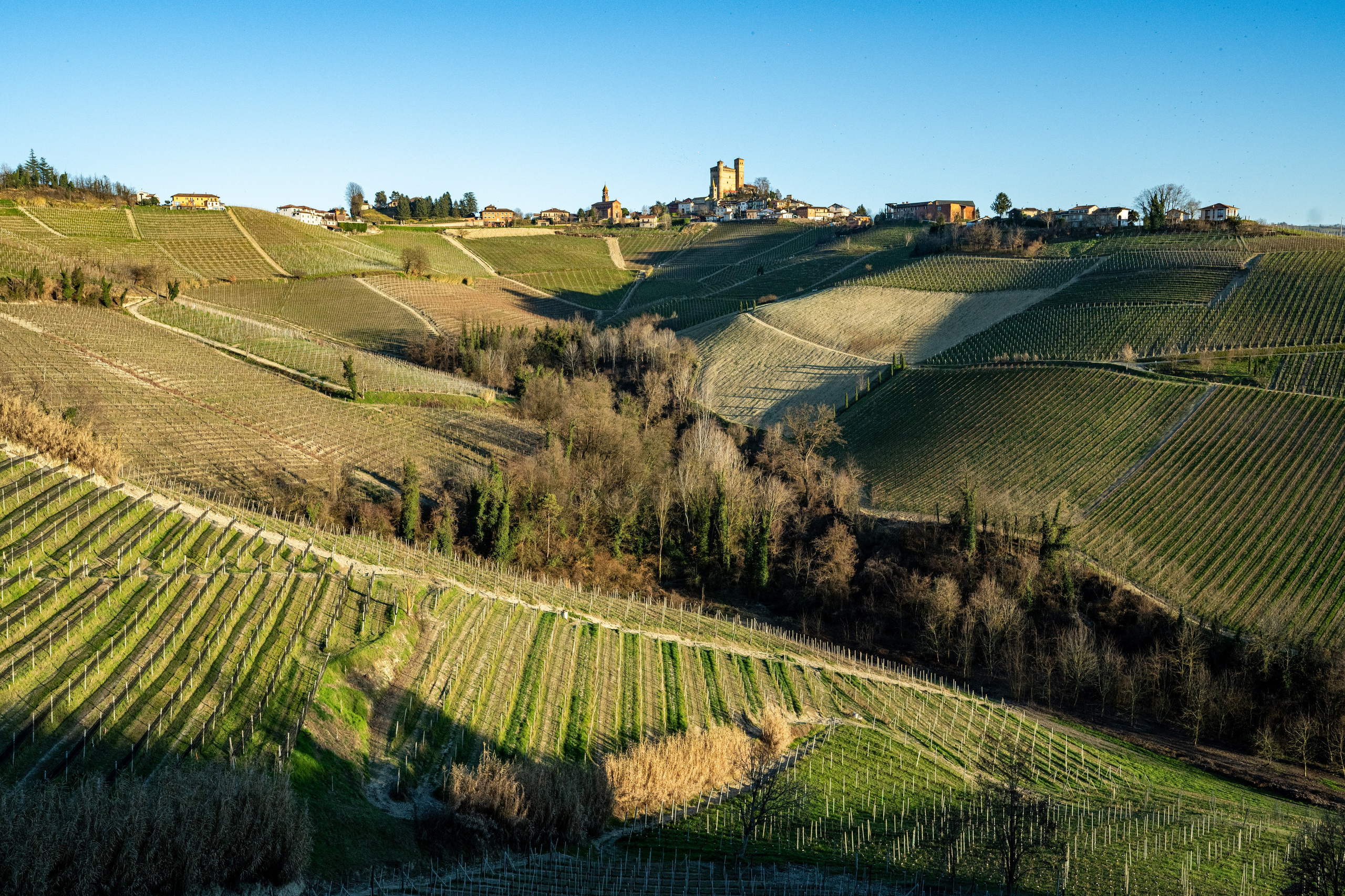 Cantine Boasso Serralunga. “Gianmaria Coscia fotografo per passione”