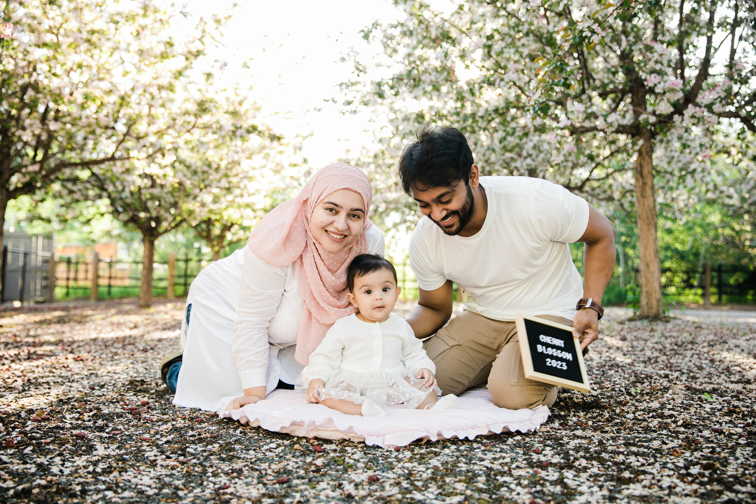 Nabeel Cherry Blossoms. Fotografía accesible en Calgary
