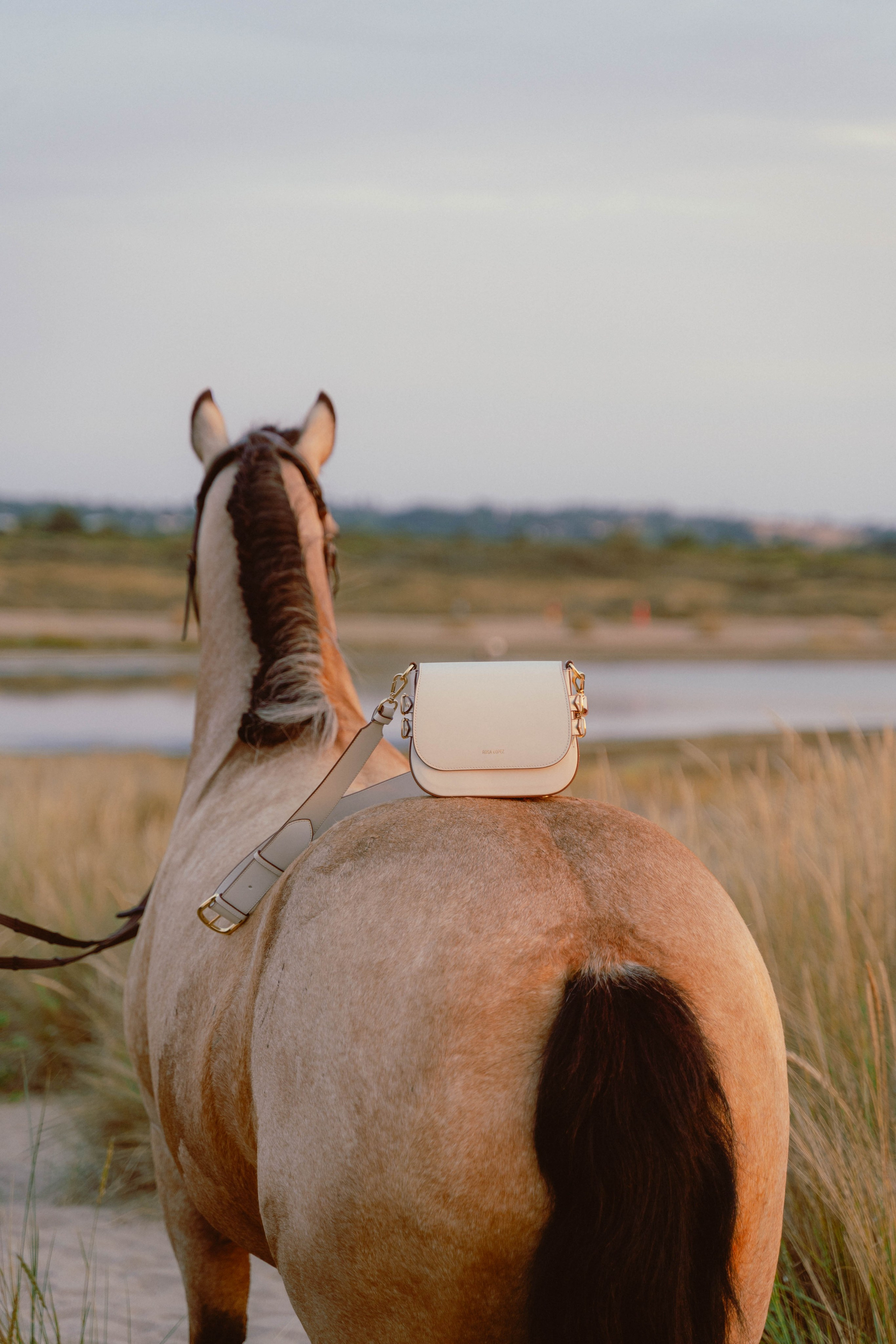 Rosa Lopez. Weeding photographer / event / portrait