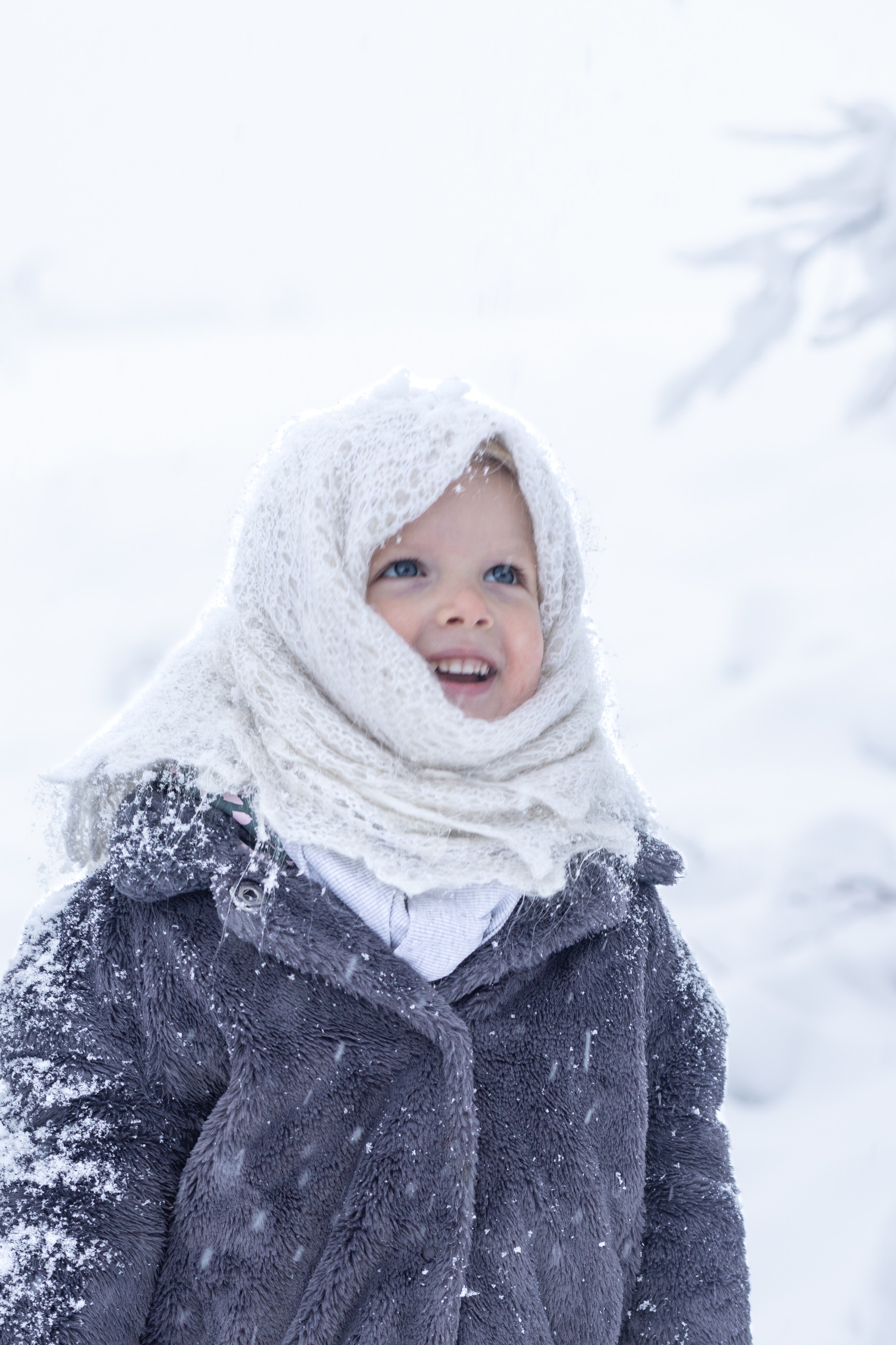 Ein Weihnachtsmärchen. Olena Fritz Fotografie