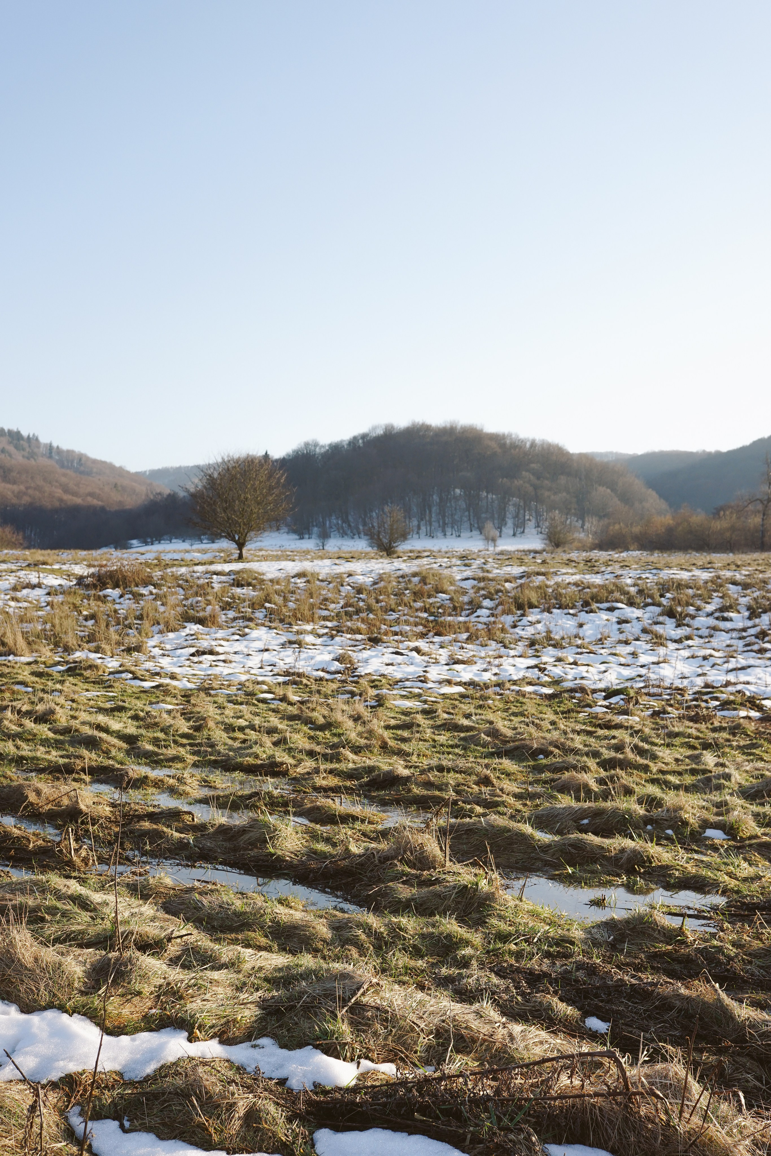 Mărțișorul x Mes Amis: O Poveste de Primăvară | Mădălina Beda. Madalina Beda- Artist vizual, fotograf, doula la nastere, consultant babywearing Brasov si in toata tara