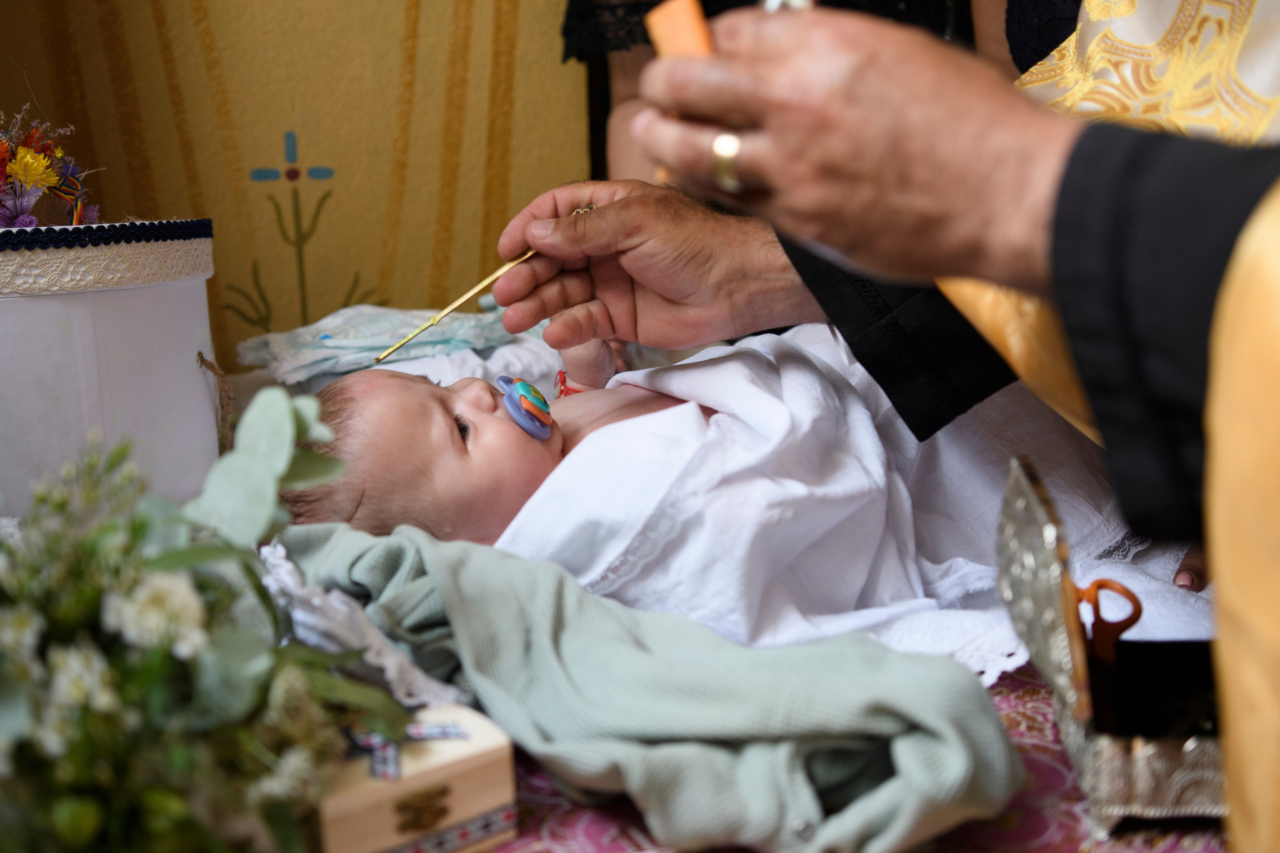 Fotografii Nunta + Botez Ciresul Salbatic. MDimaFotoStudio. Fotograf de nuntă, evenimente private și de familie