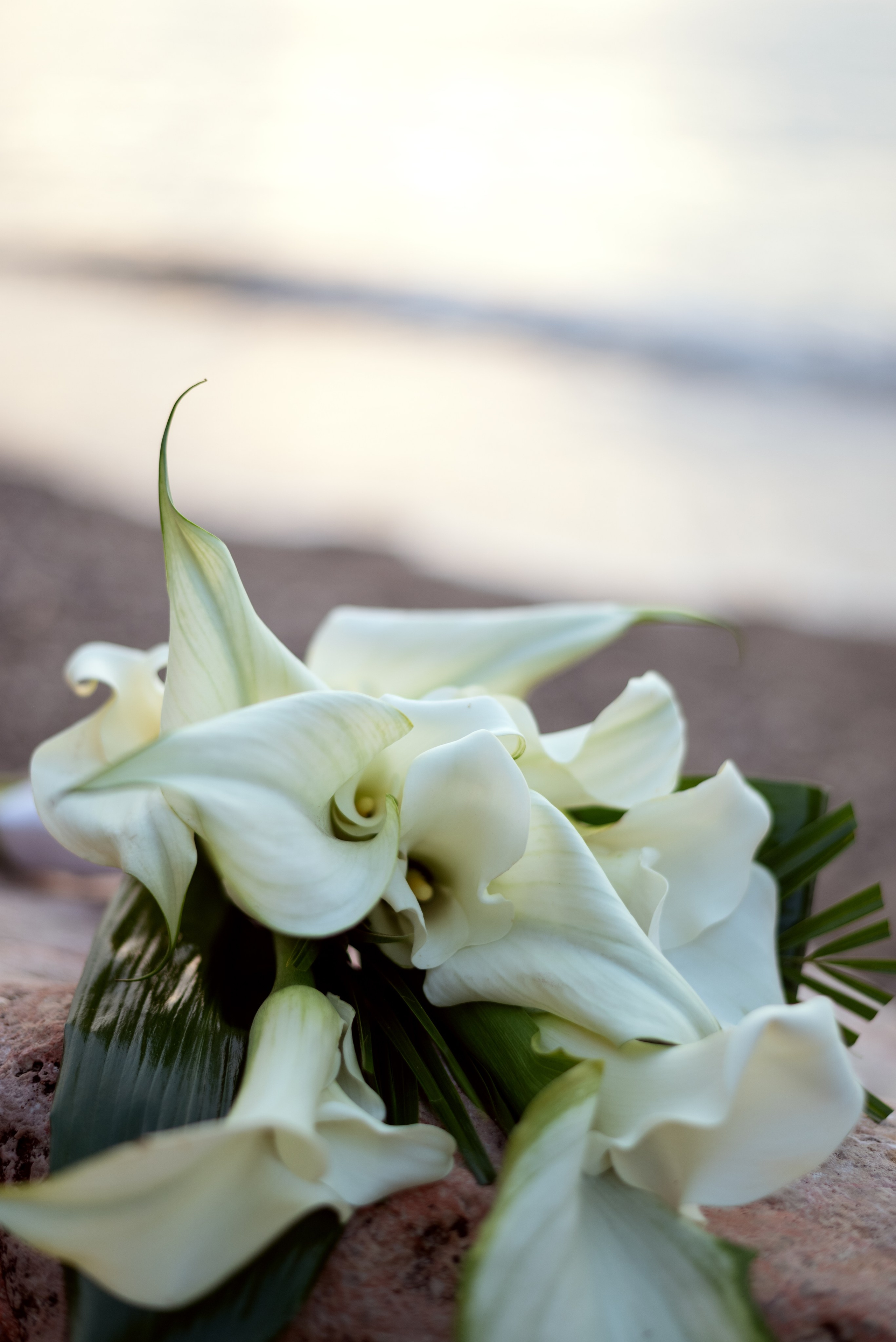 Фотограф Кемер. Семейная, свадебная, индивидуальная фотосессия. Фотосессия на пляже в Кемере. Фотограф Анталия, Кемер, Белек, Сиде Дарья Кая