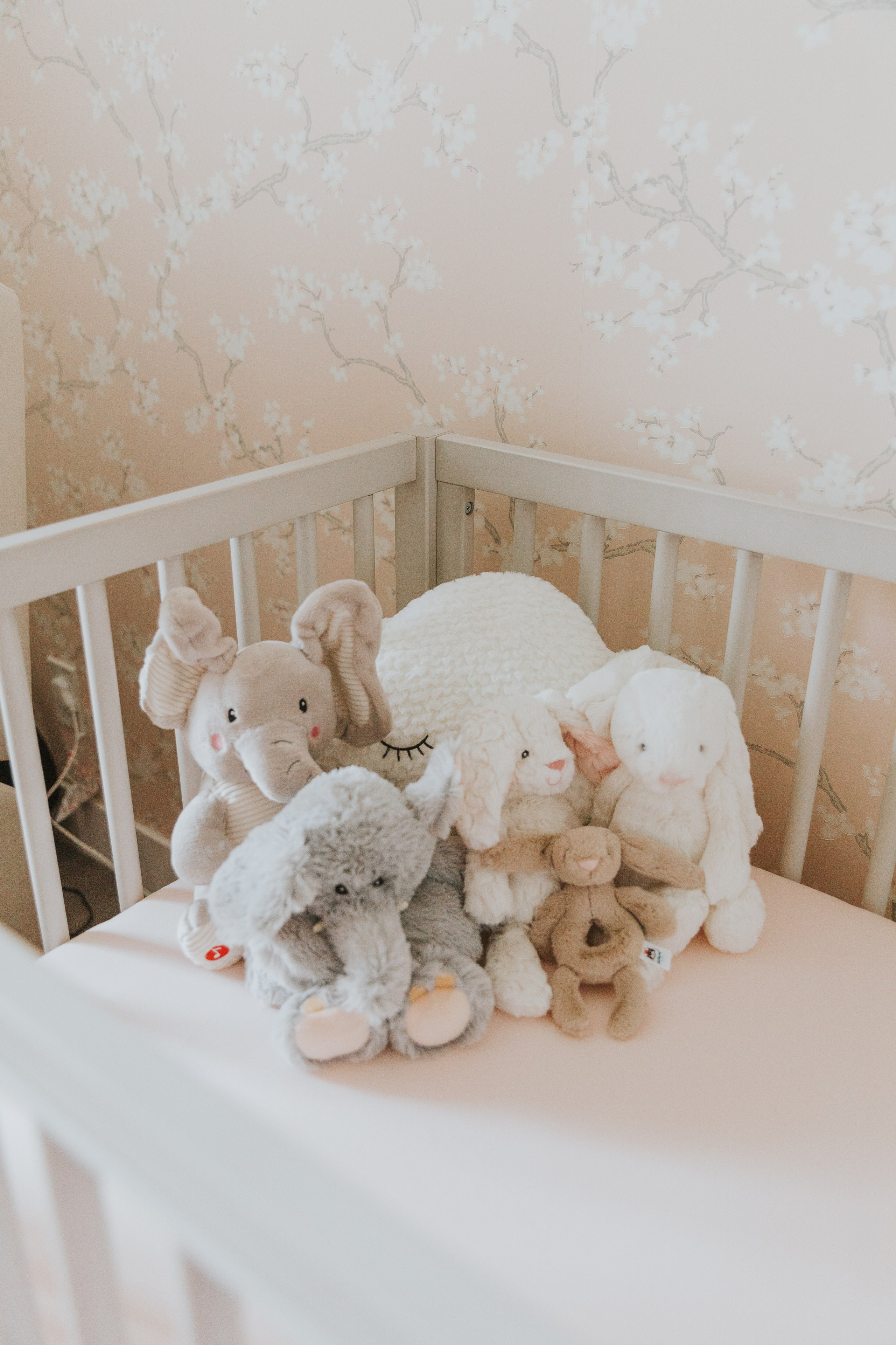 Newborn | In Home. Utah Family Photographer