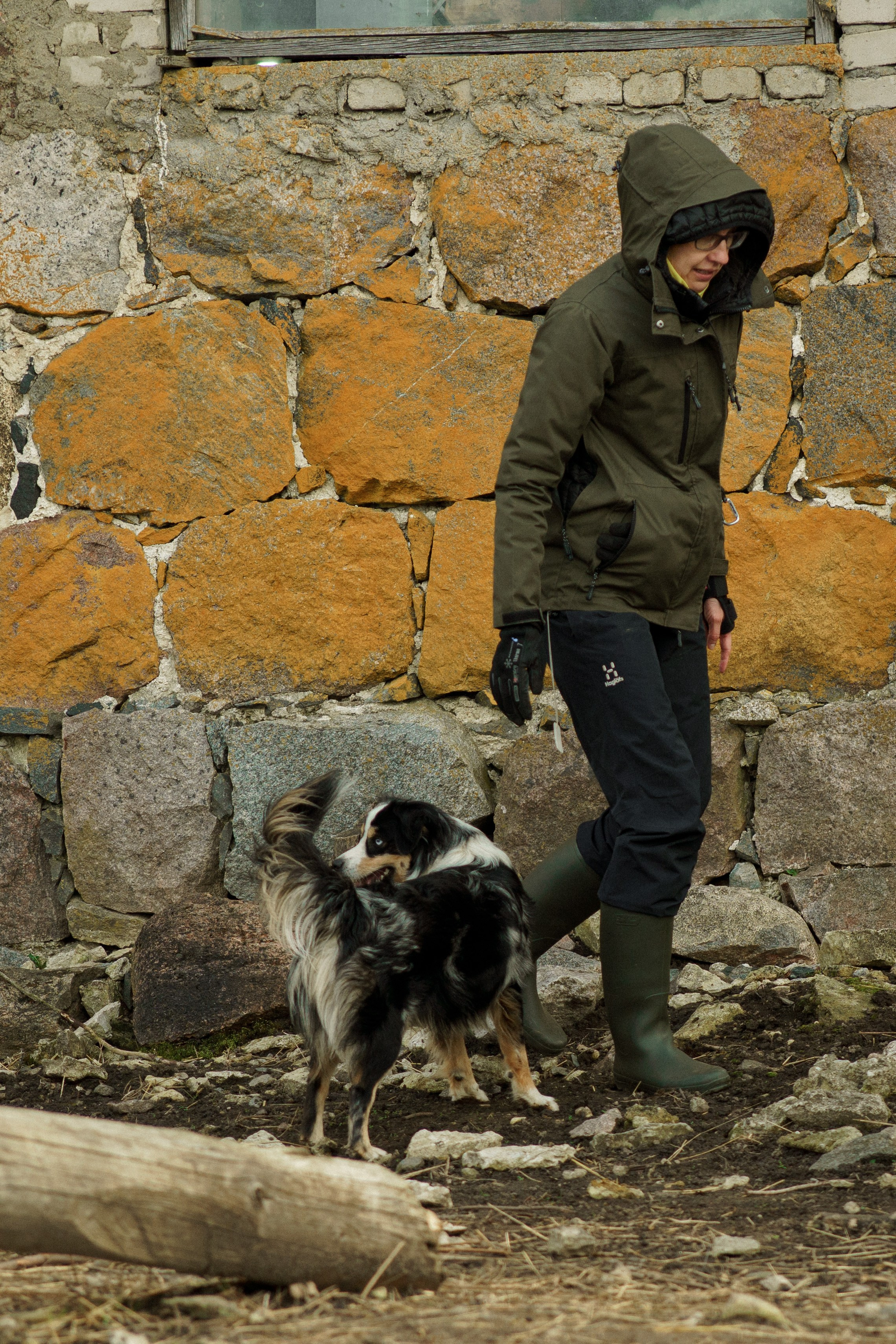 Herding Days, 26 apr. 2025. Kat Laisaar — Pet photographer in Tallinn