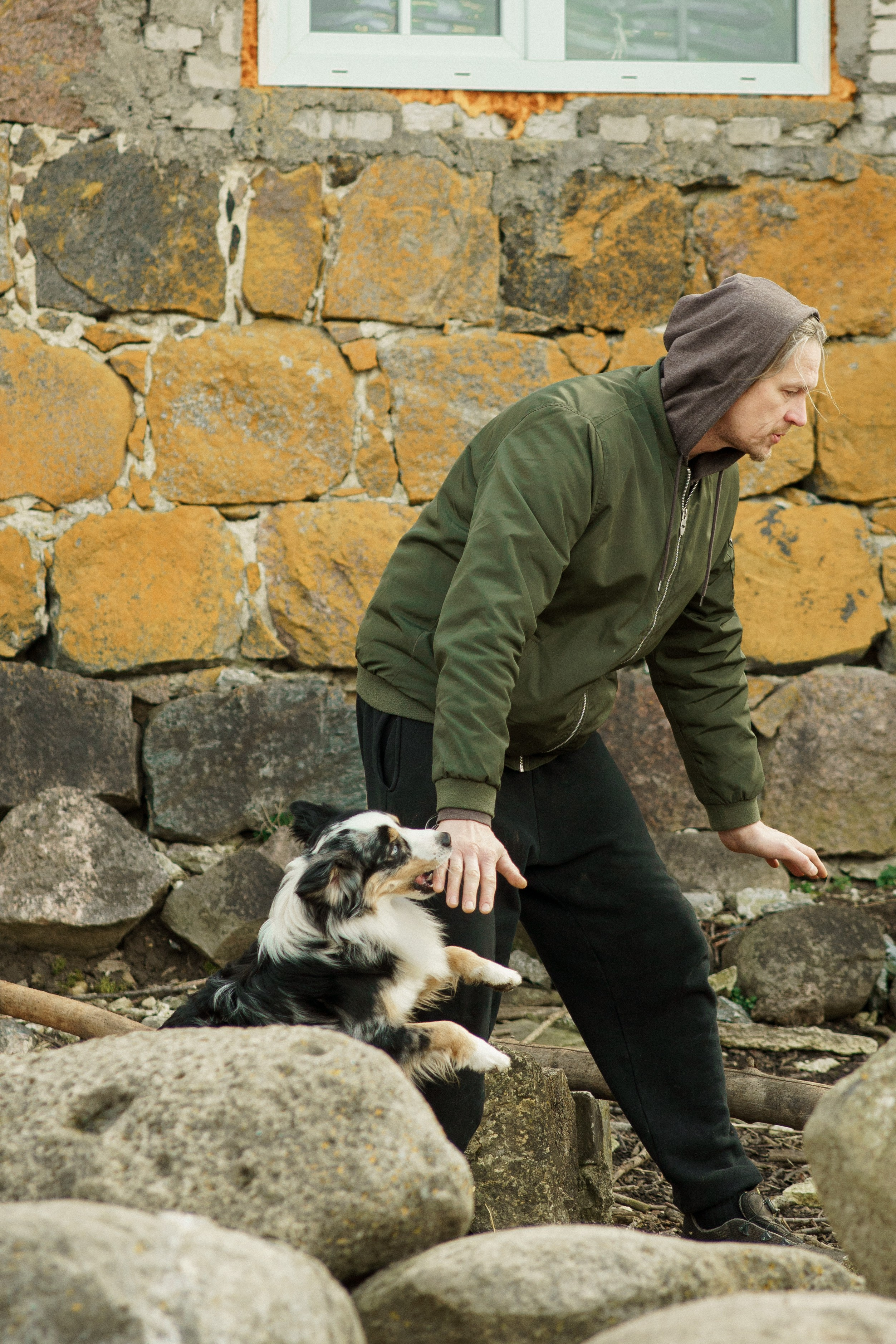 Herding Days, 26 apr. 2025. Kat Laisaar — Pet photographer in Tallinn