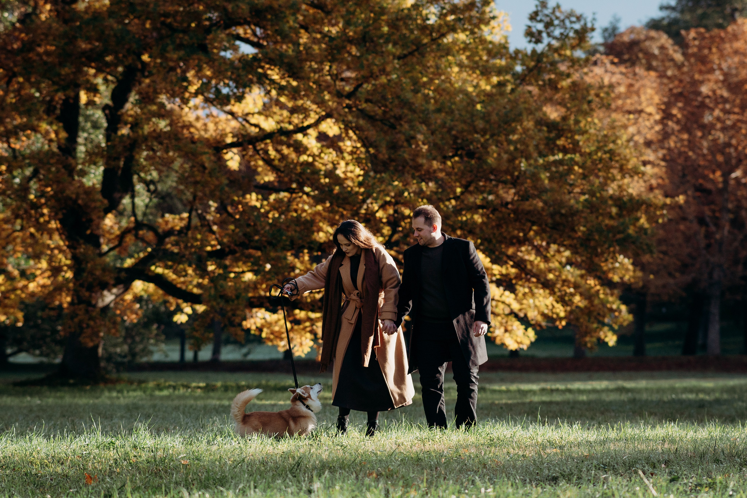 Liisa, Alexander & Marsel. Фотограф-анималист в Таллинне, Катя Лайсаар