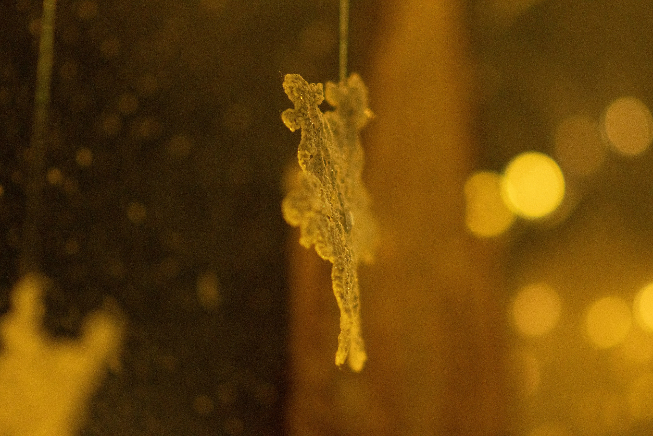 Проект. Семейный и детский фотограф