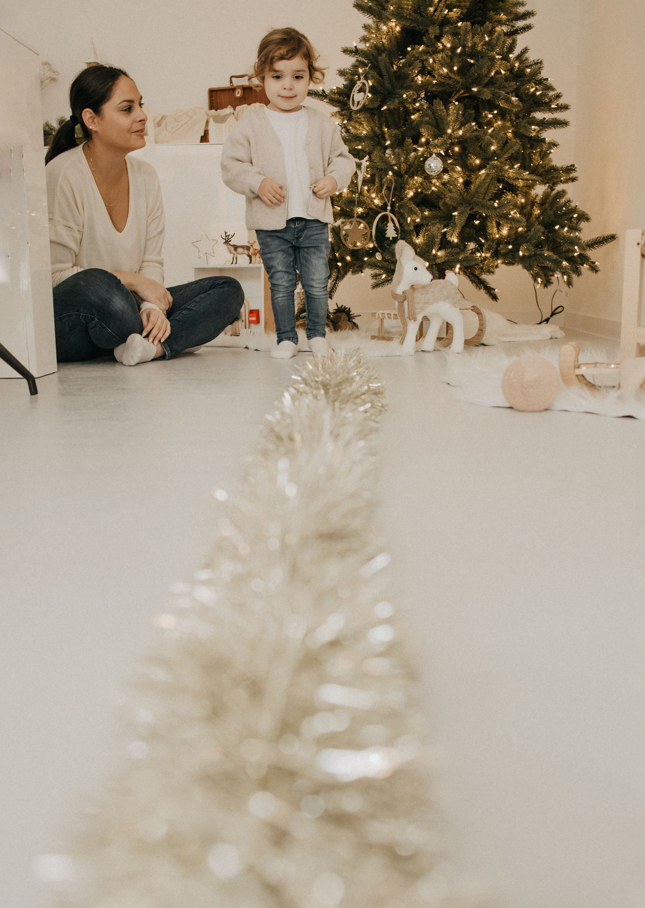 Séances Noël. Семейный фотограф во Франции (Мец, Люксембург)