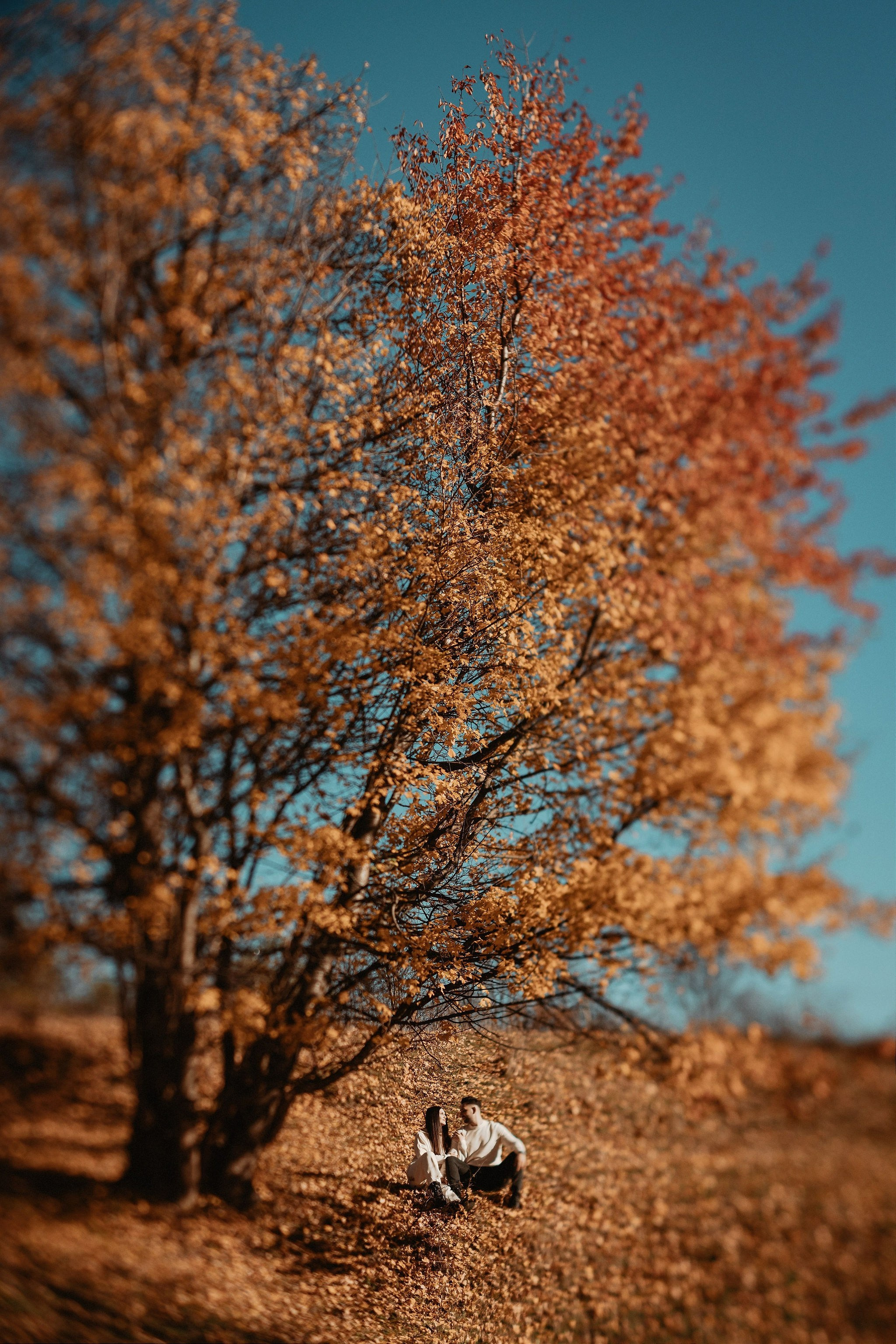 Save the date — A&E. Bogdan Dumitrel — wedding photograher