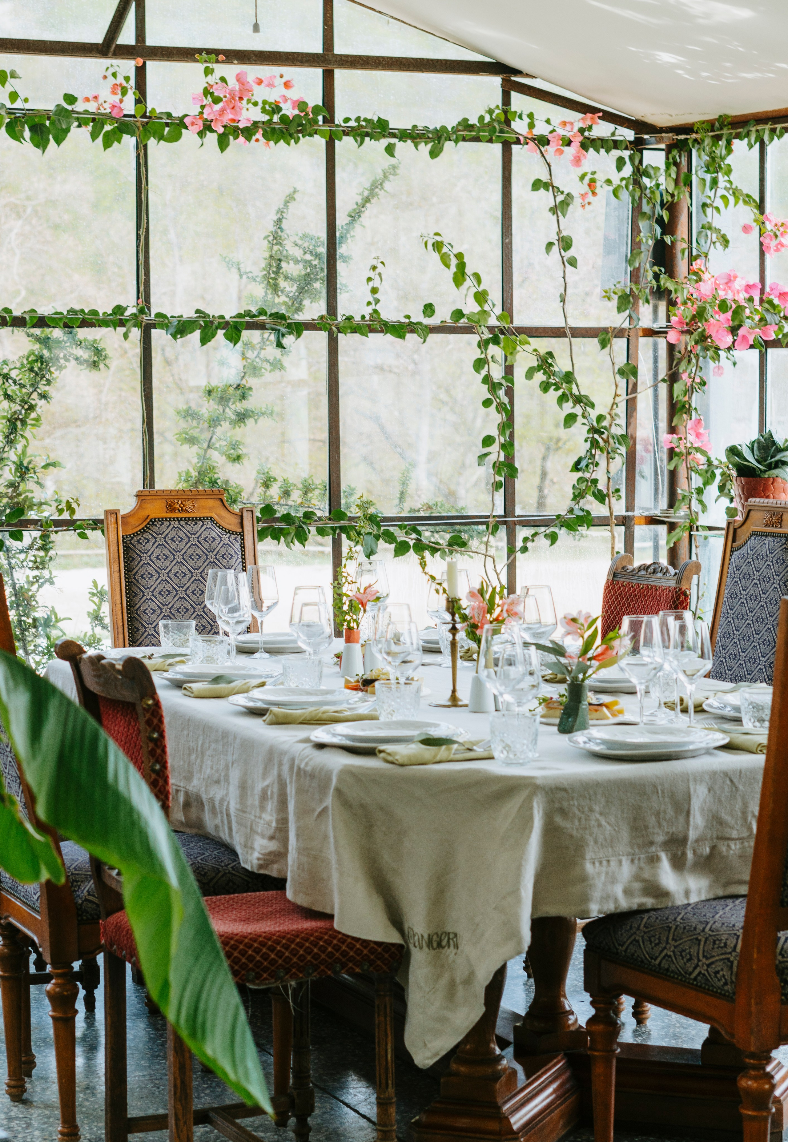 Food. Photographer and videographer for business in Tbilisi Catrine Poznyak