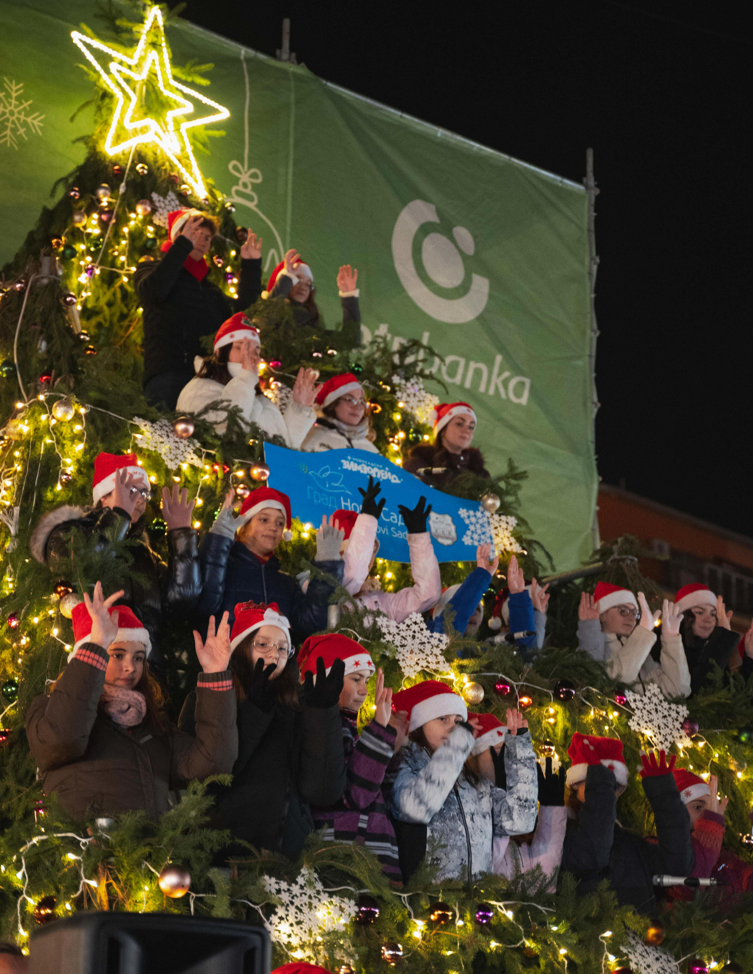 Novosadski Zimzolend. Жуков Студио