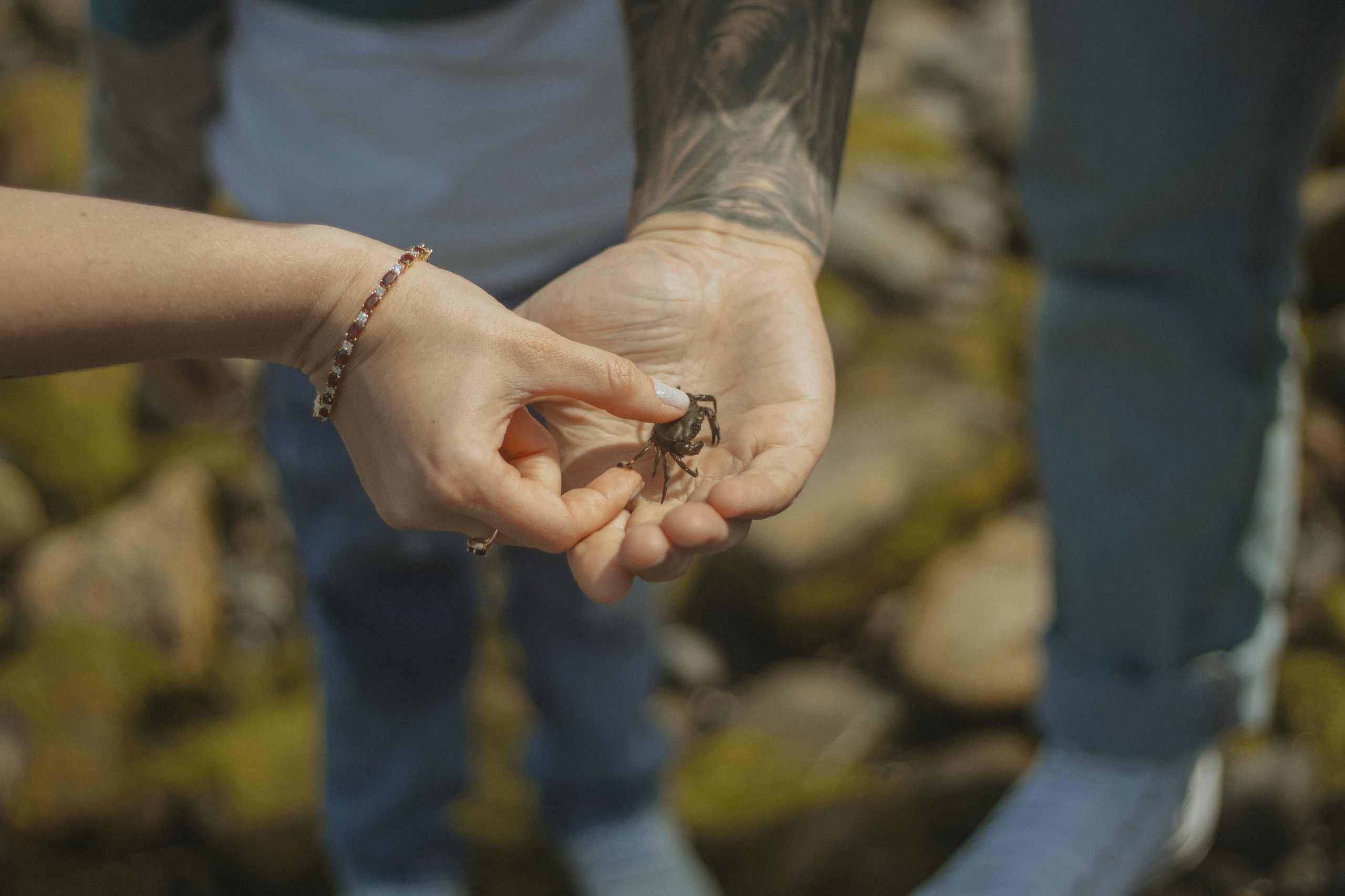 The story of Aleksey and Margarita. Photographer Margarita Antonova in Naas, Co Kildare