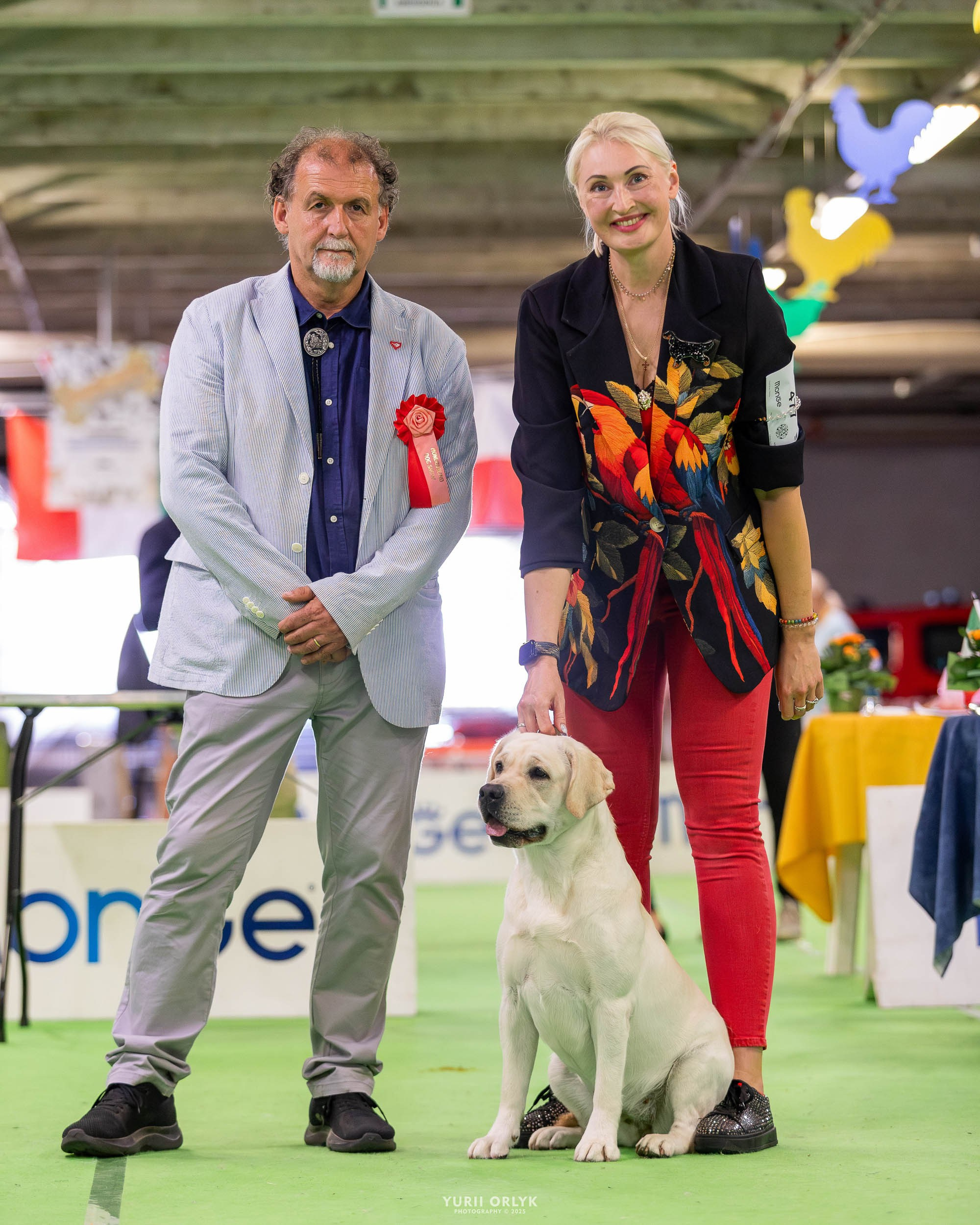 Dog Shows. Yurii Orlyk Photography