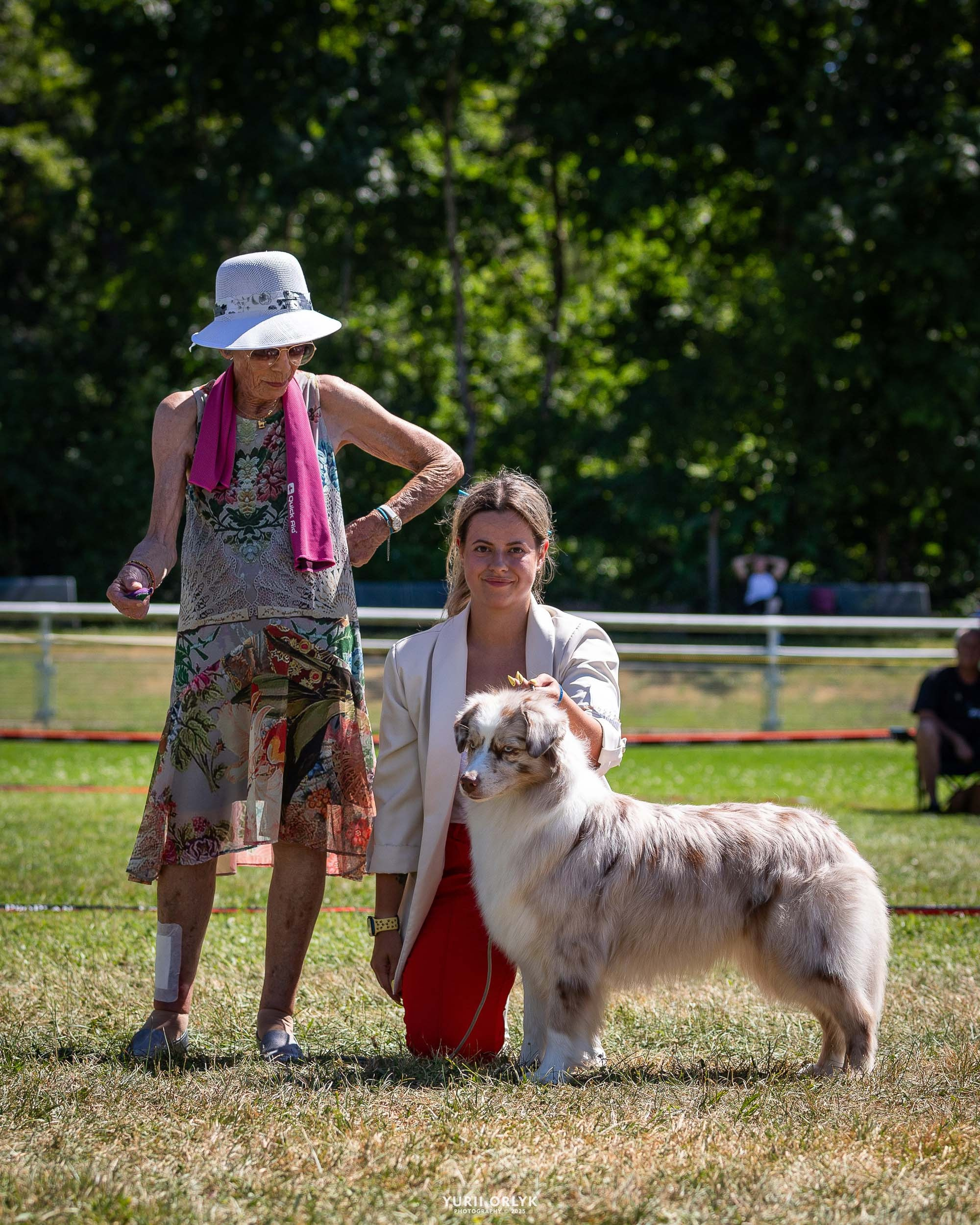 Dog Shows. Yurii Orlyk Photography