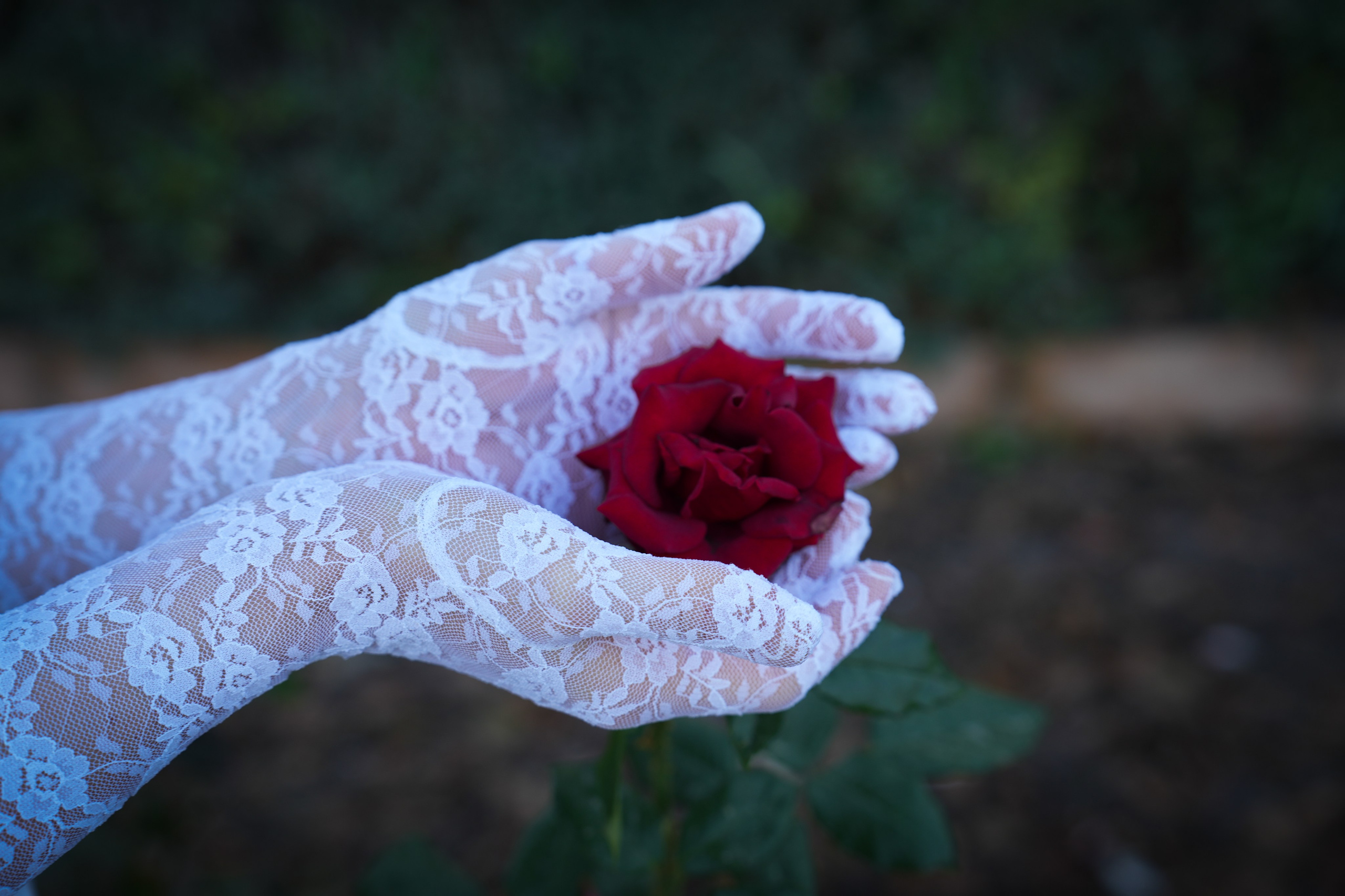 SWETIK. Fotógrafa Olena Petryk. Realizo sesiones de fotos en Puerto de Sagunto