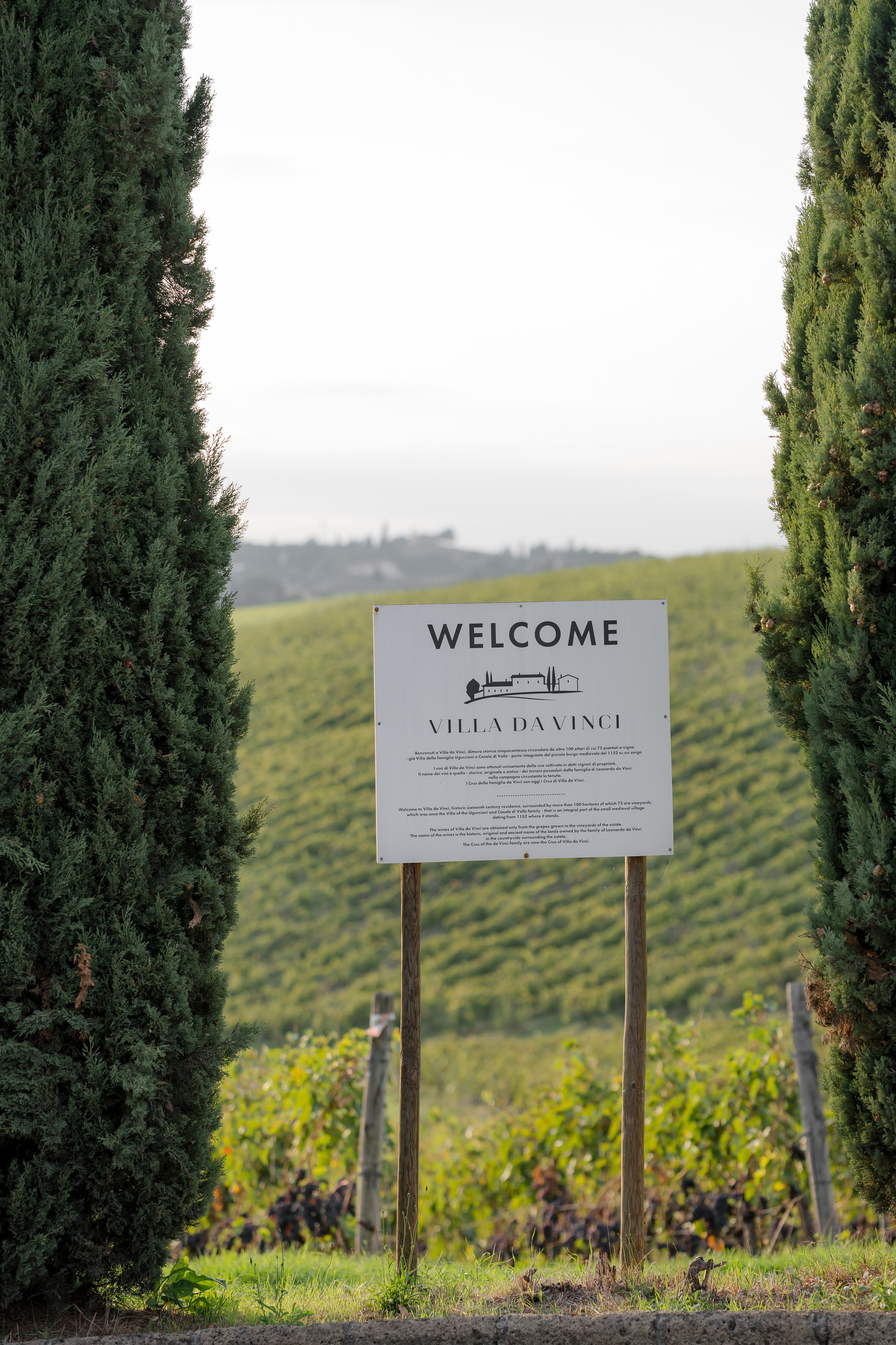 Dom&Ally. Весільний фотограф Вікторія Саврук