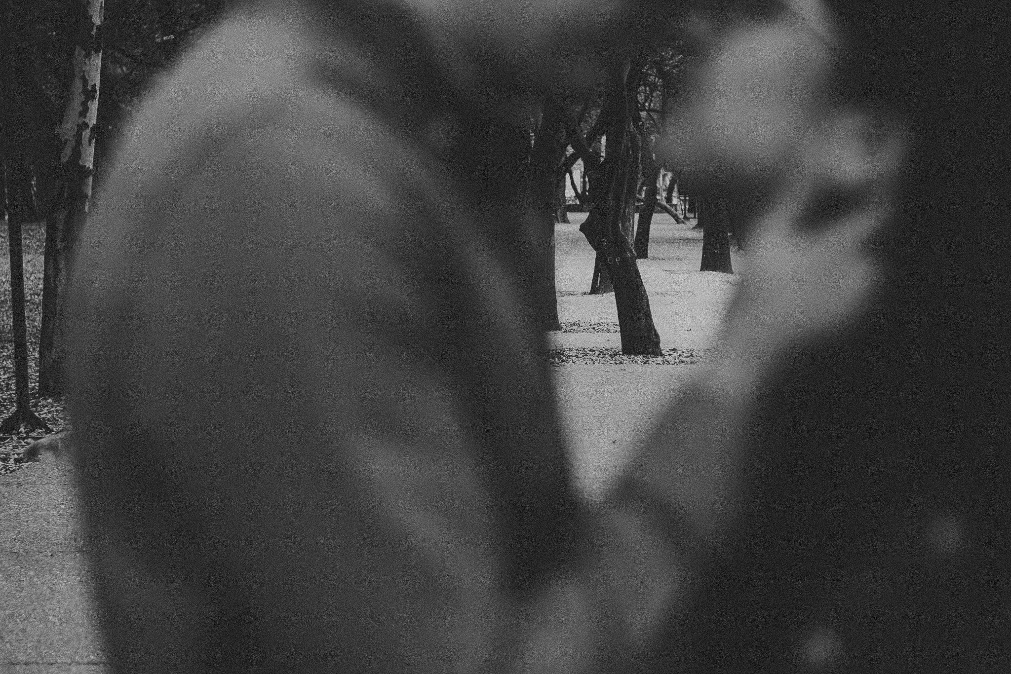 Gin & Cesar. Wedding and family photographer in Mexico City