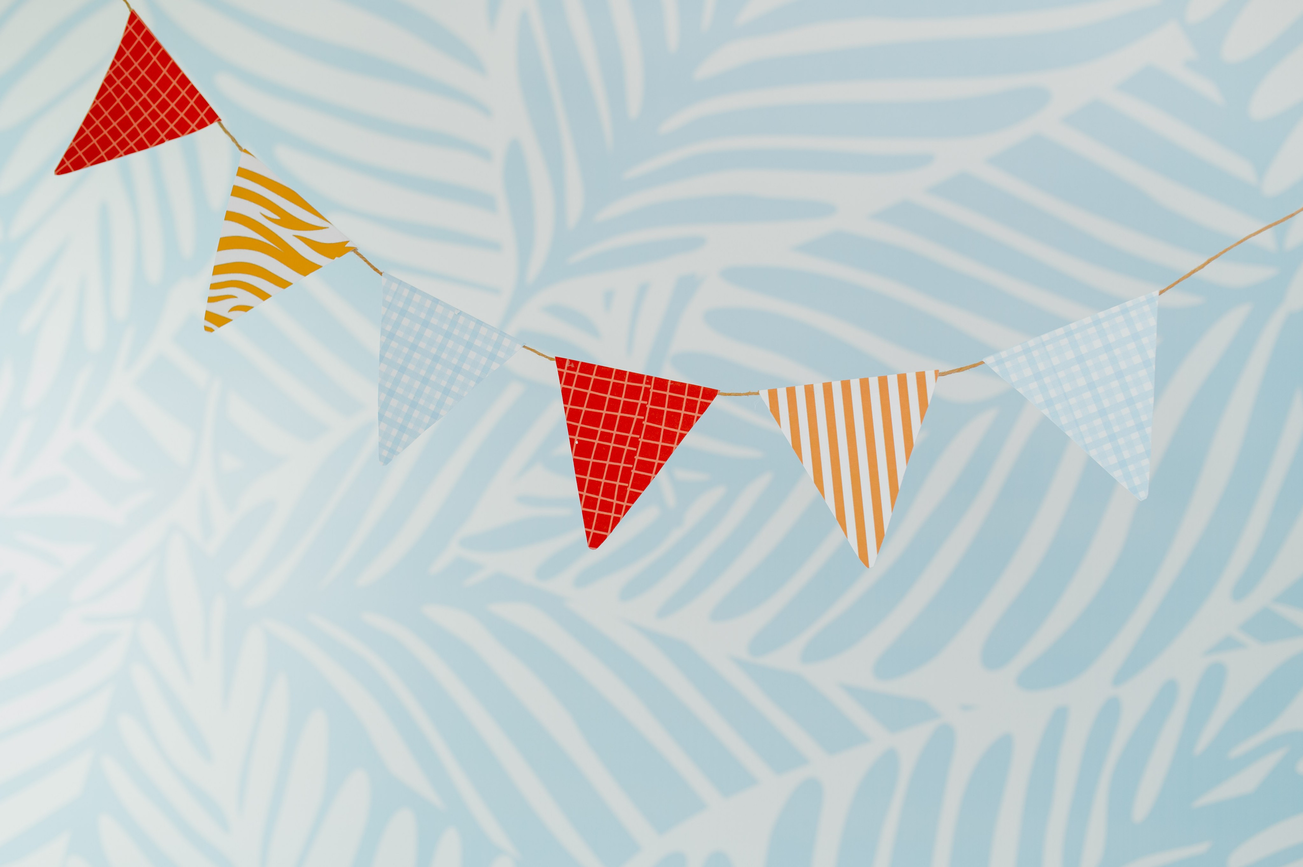 Tito José 1 Ano. Água Carmim Fotografia