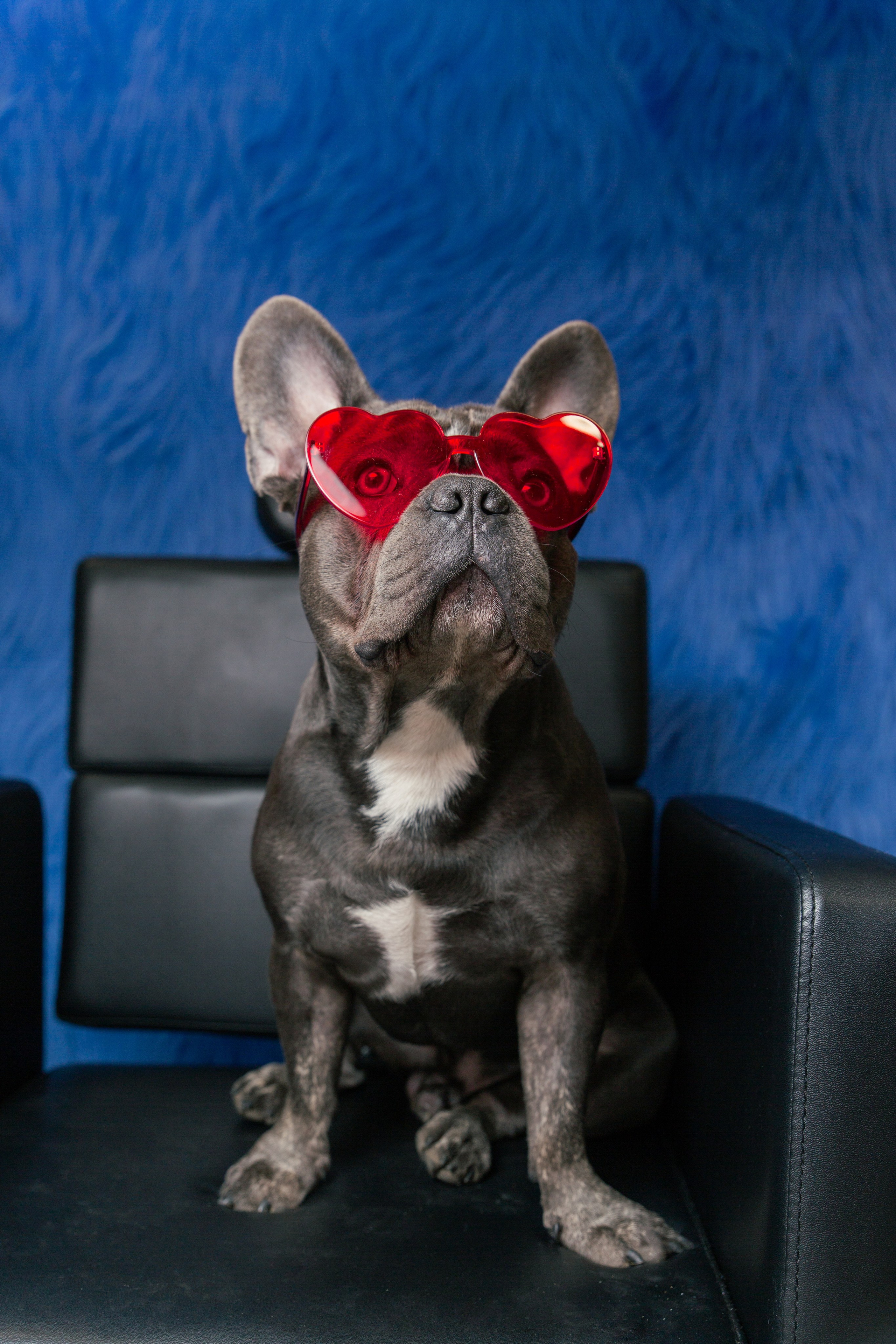 Braid & You. Dreadlock studio. Photographer Vladmir Gladkov