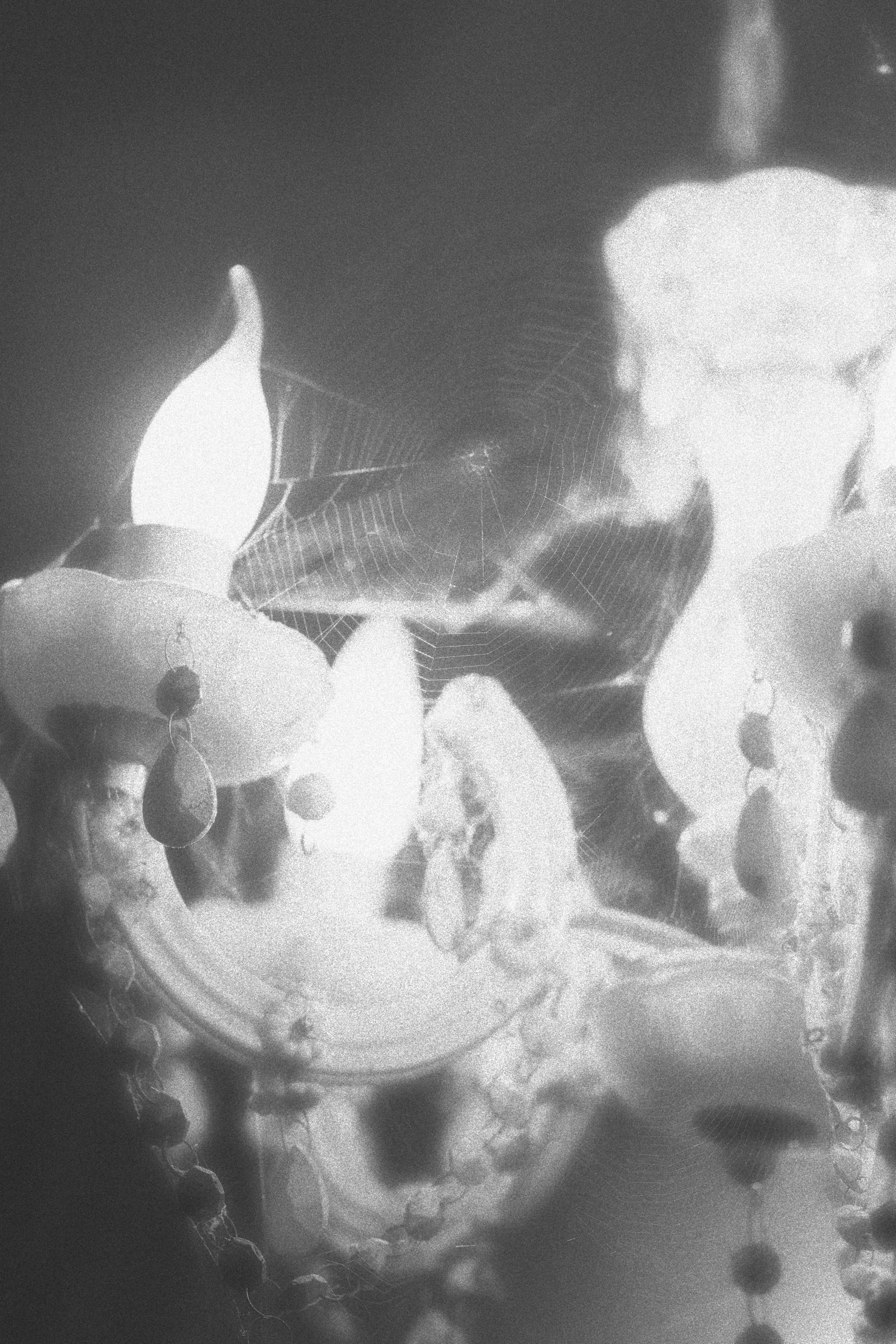 “let the wolf howl in the night”. Anna Guseva | Visual artist