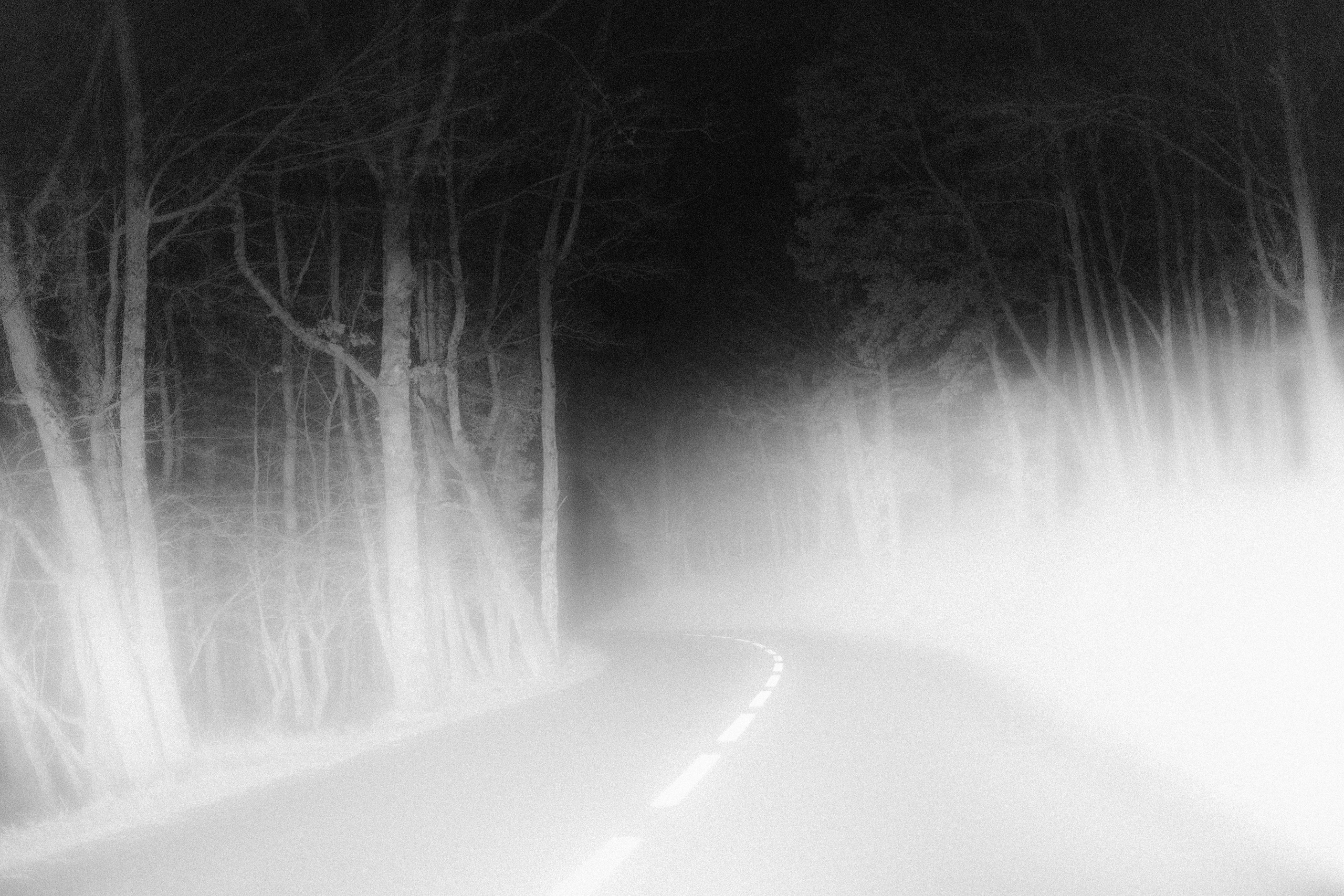 “let the wolf howl in the night”. Anna Guseva | Visual artist