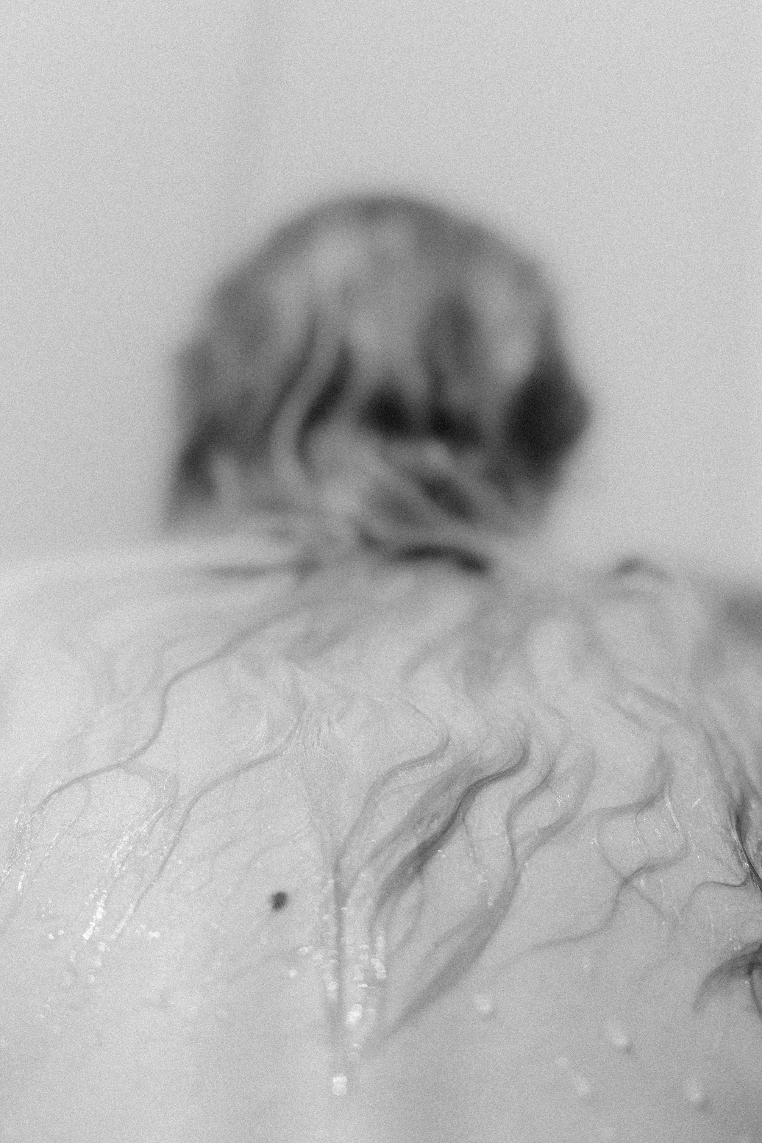 “let the wolf howl in the night”. Anna Guseva | Visual artist