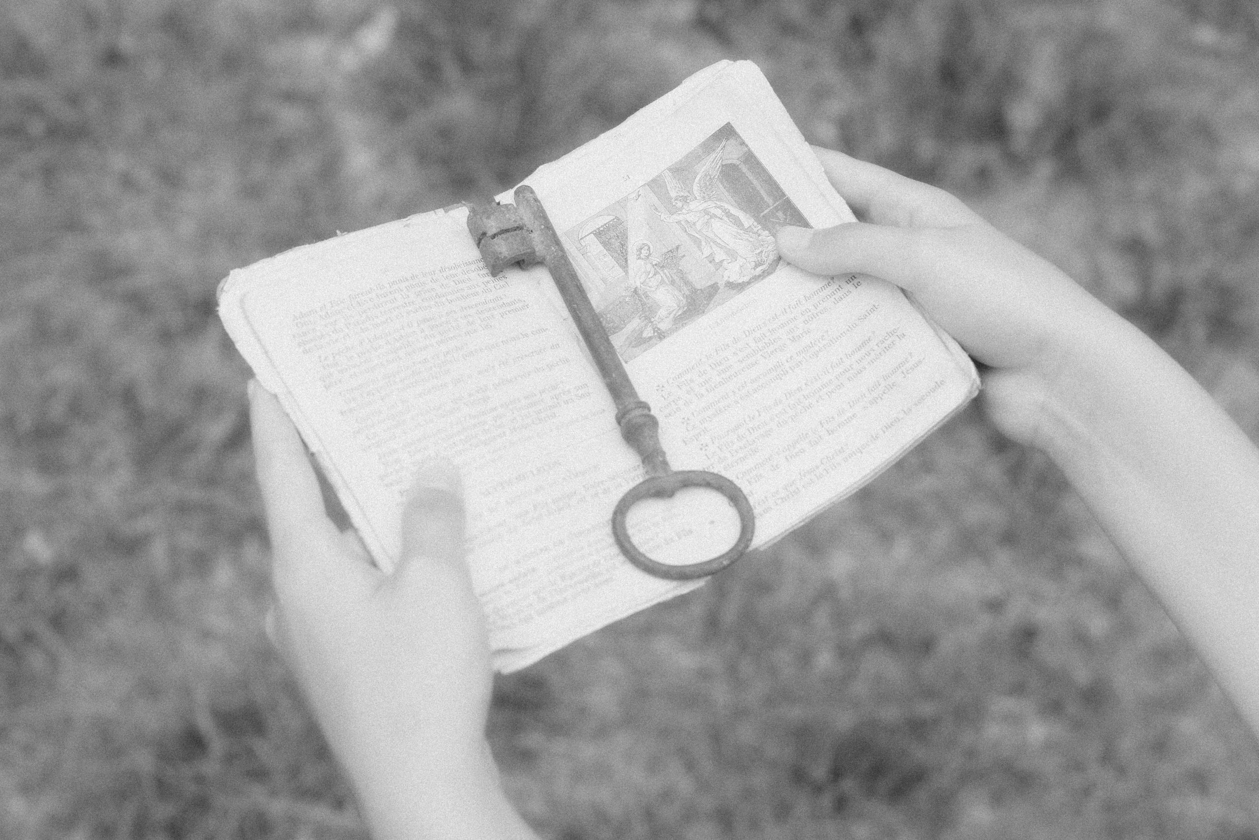 “let the wolf howl in the night”. Anna Guseva | Visual artist