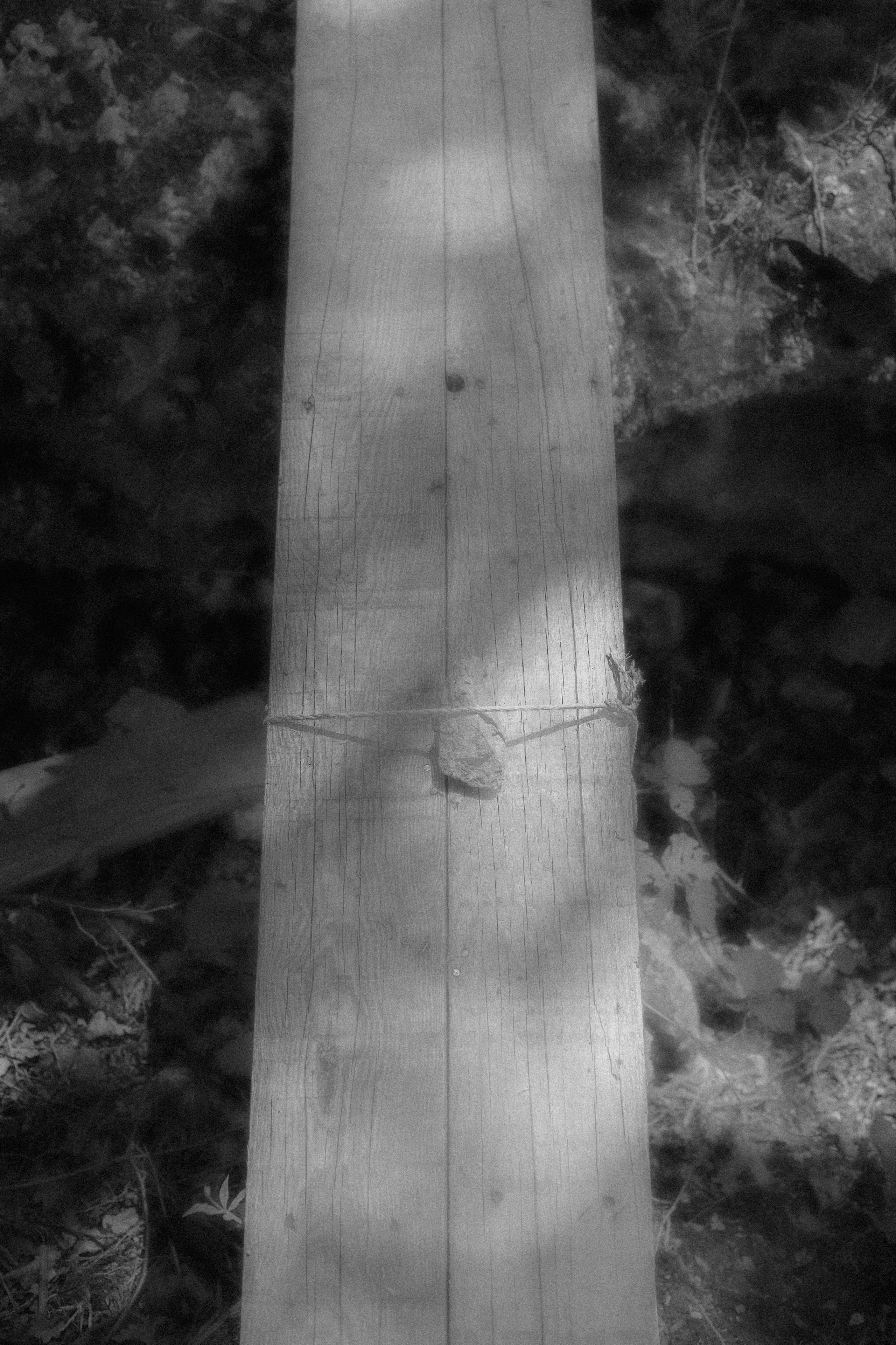 “let the wolf howl in the night”. Anna Guseva | Visual artist