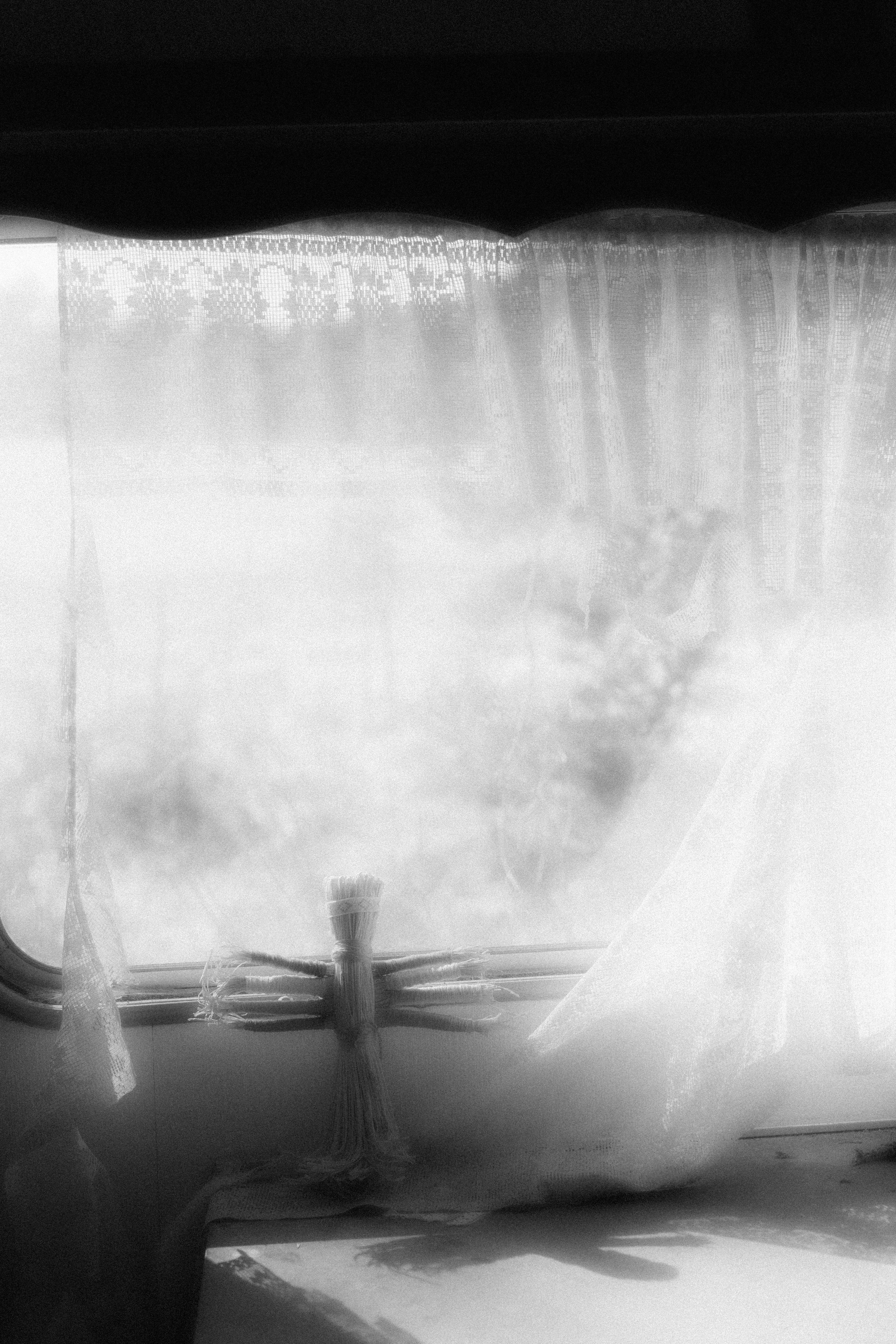 “let the wolf howl in the night”. Anna Guseva | Visual artist