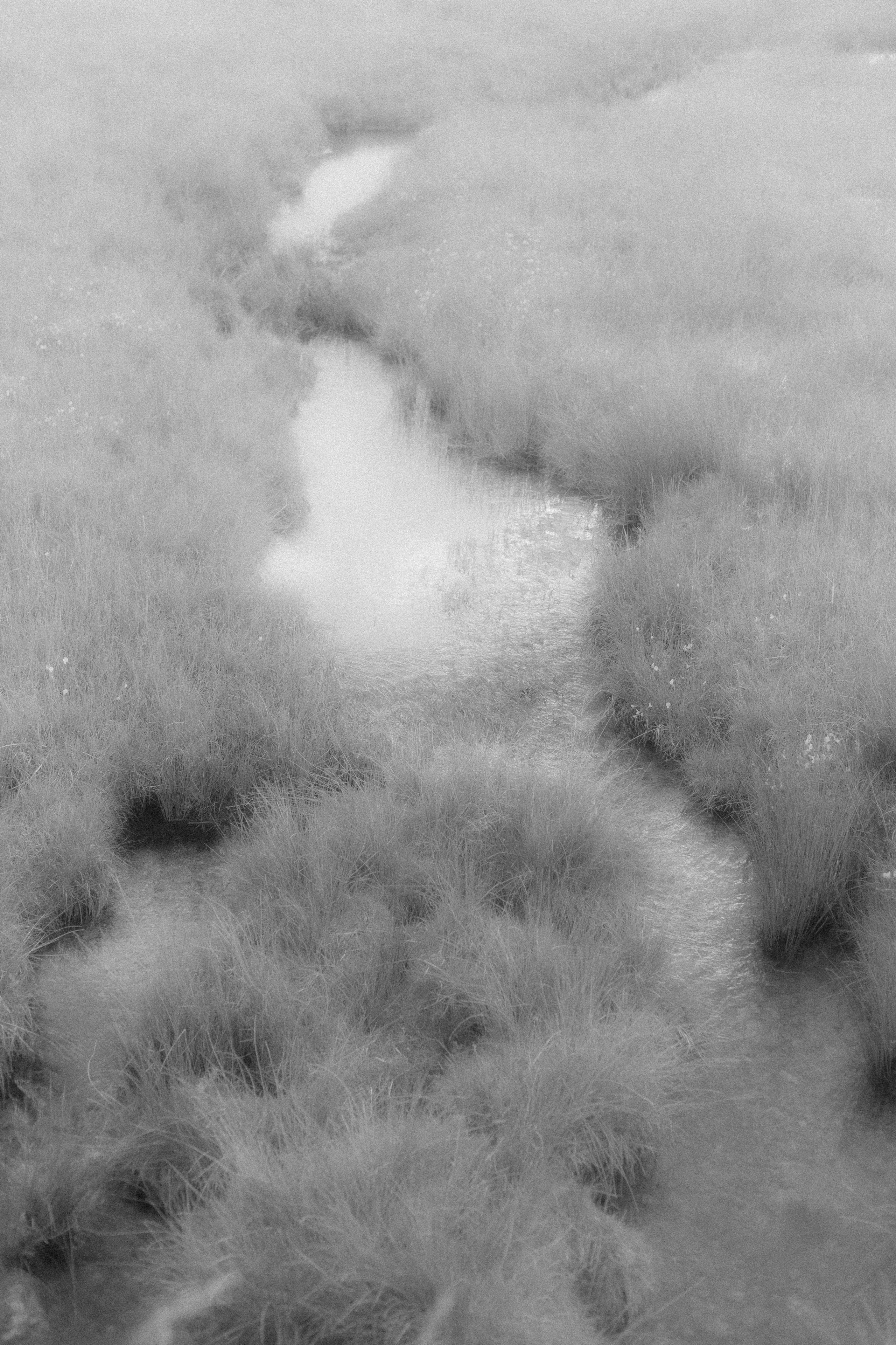 “let the wolf howl in the night”. Anna Guseva | Visual artist